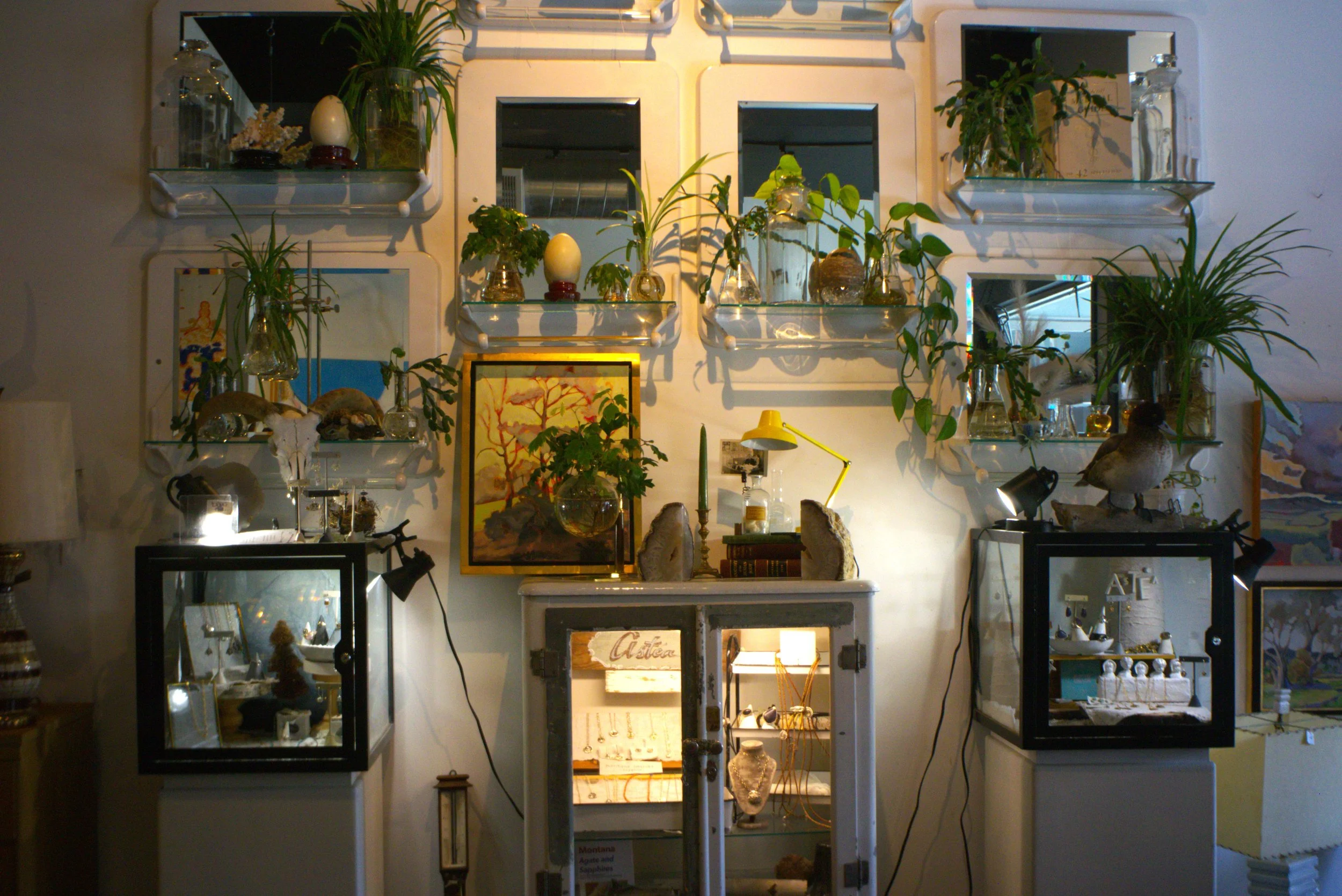 Display shelves filled with plants, decorative items, and framed artwork, with jewelry and animal skulls on lower sections, in a well-lit room.