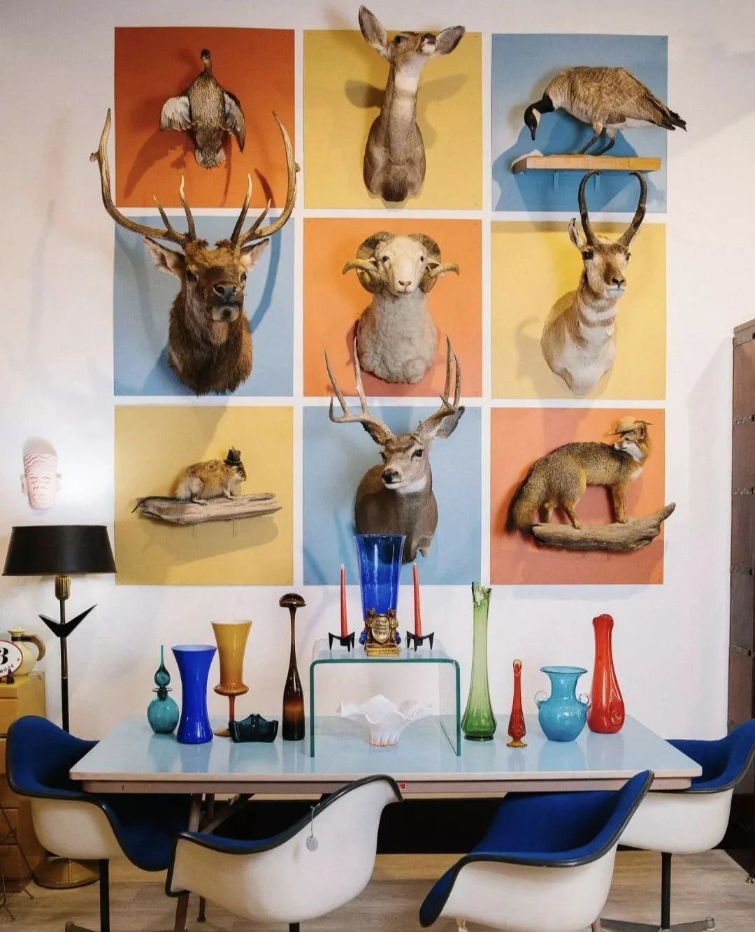 A wall decorated with mounted animal heads including deer, ram, fox, and other species. Below, a table displays colorful vases and decorative items, with chairs around it.