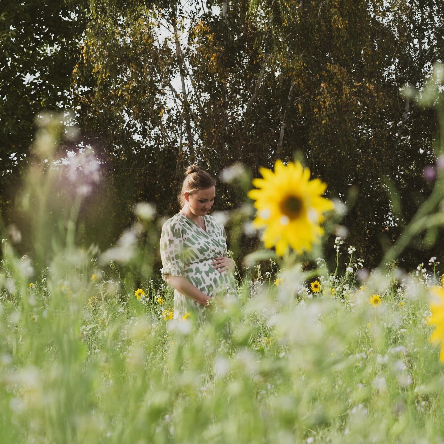 Es sind doch die kleine Dinge im Leben welche uns gl&uuml;cklich machen. 🥰

#fotografia #fotograf #babybauchshooting #schwangerschaftsfotografie #shootingphoto #mojiart_ #leidenschaft #kleinunddochganzgro&szlig; #blumenwiese #sonne