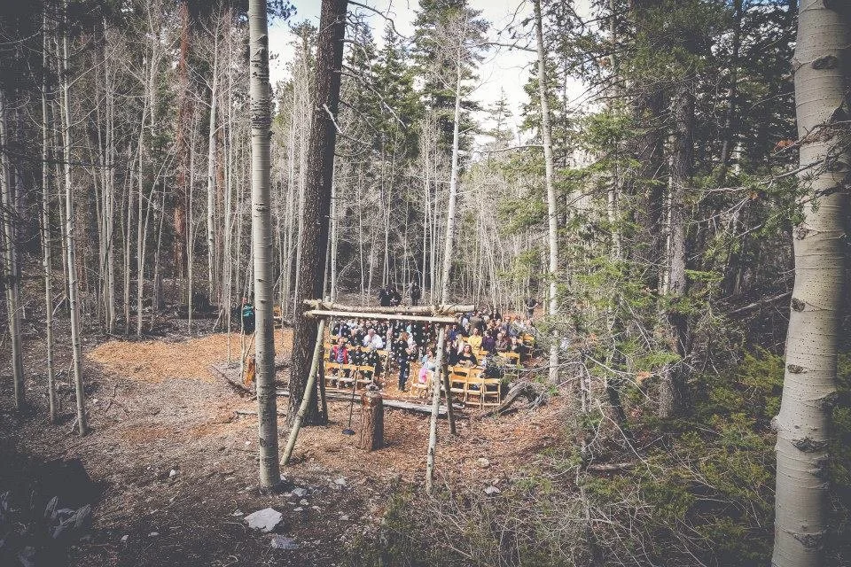 A large outdoor gathering of people seated on benches under a makeshift shelter in a forest with tall trees and a dirt path.