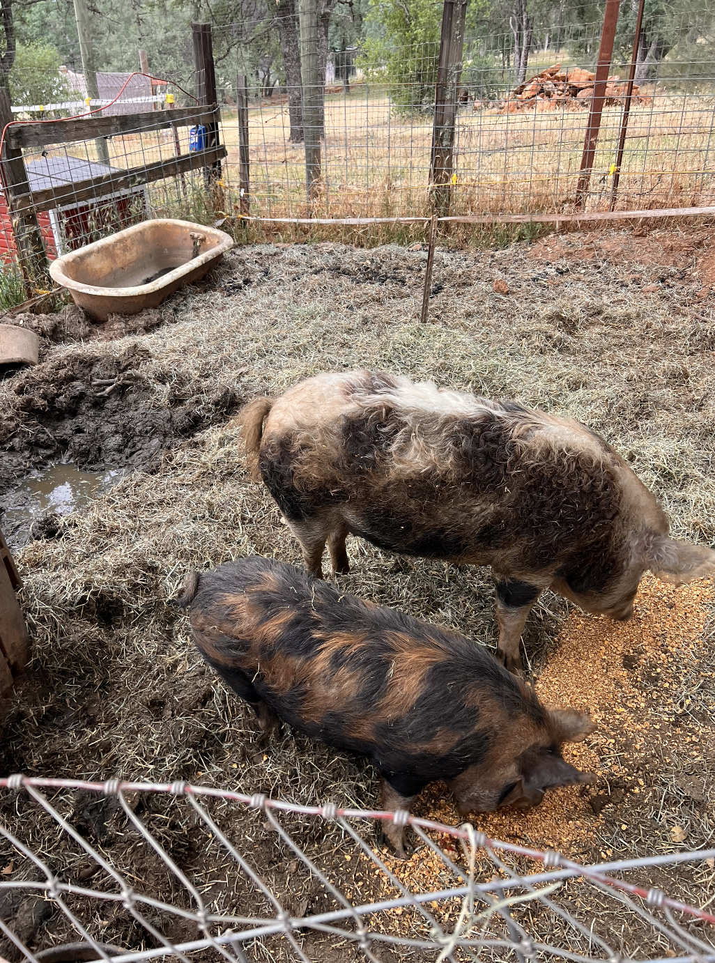 Screenshot 2023-09-19 at 12.38.09 PM.png