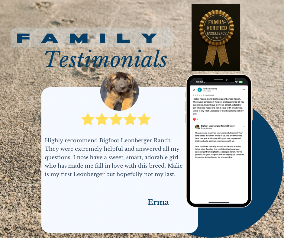 Cyan And Blue Premium Customer Testimonials Facebook post - 6.png