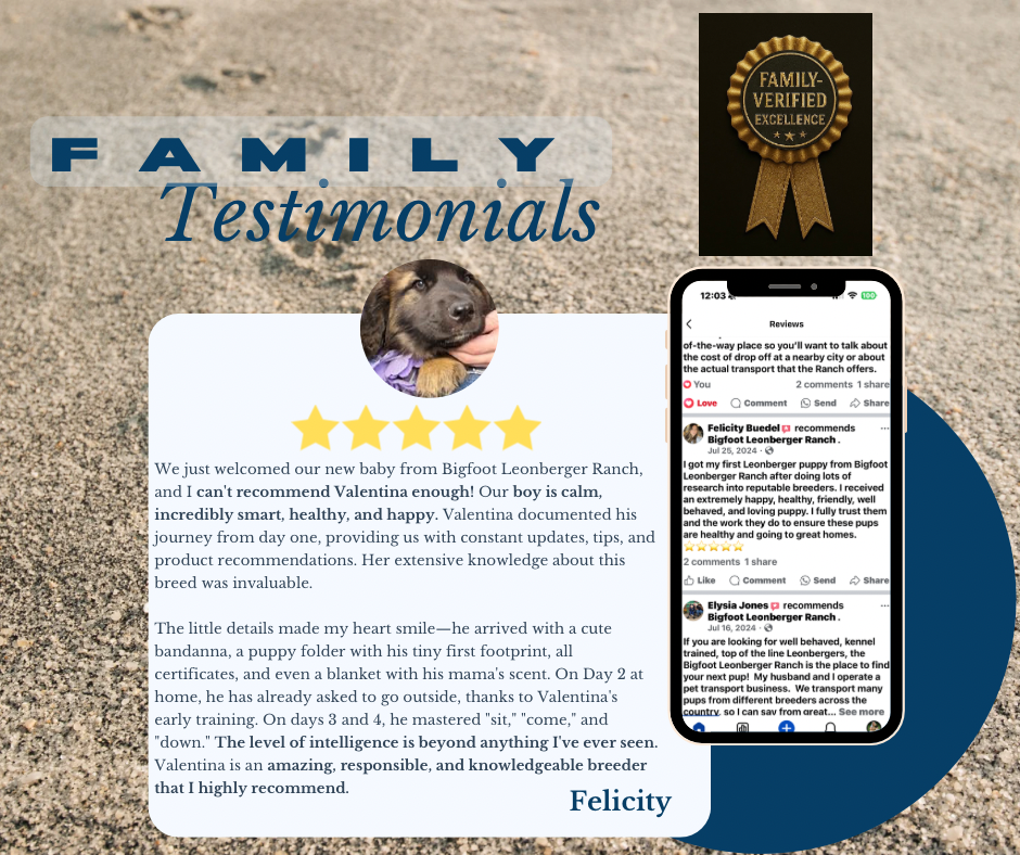 Cyan And Blue Premium Customer Testimonials Facebook post - 9.png