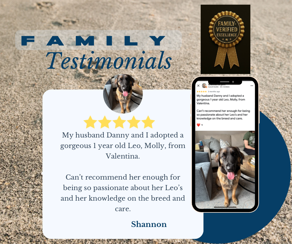 Cyan And Blue Premium Customer Testimonials Facebook post - 1.png