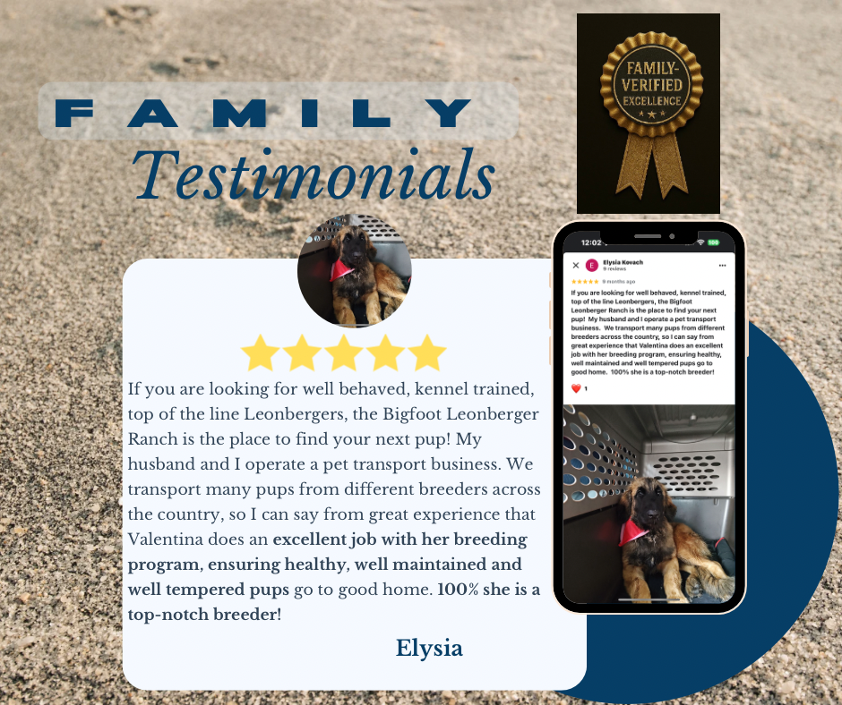 Cyan And Blue Premium Customer Testimonials Facebook post - 3.png
