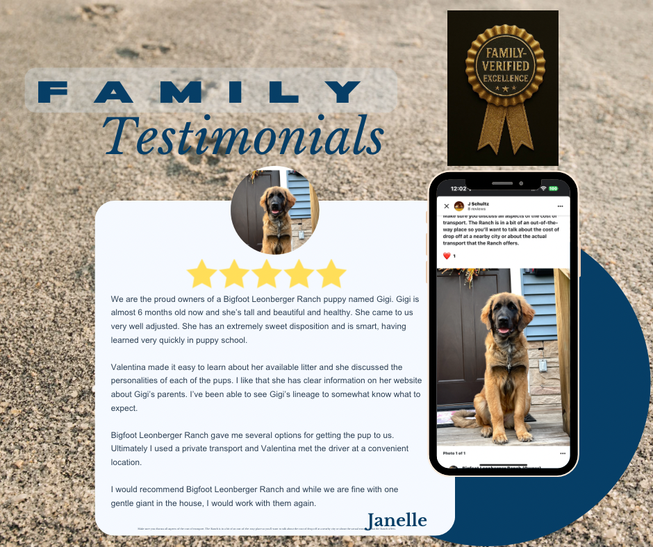 Cyan And Blue Premium Customer Testimonials Facebook post - 2.png