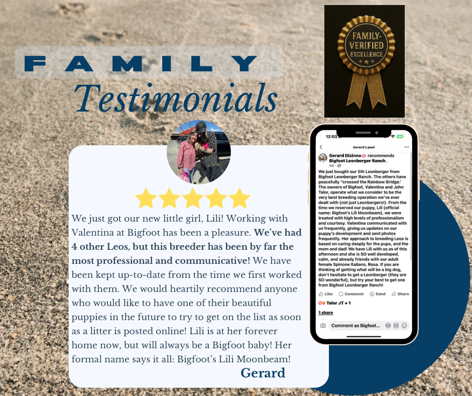 Cyan And Blue Premium Customer Testimonials Facebook post - 5.png