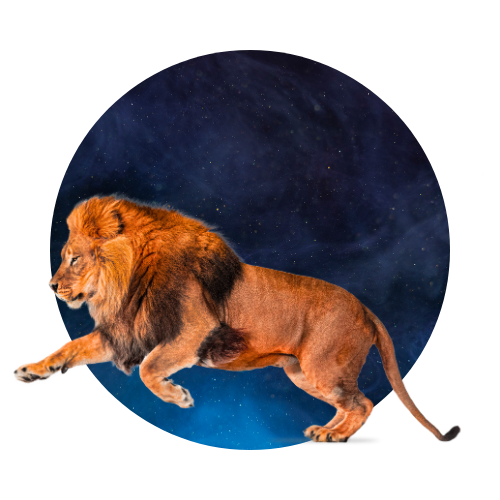 Leo and Aquarius: The Axis of the Self and the Collective