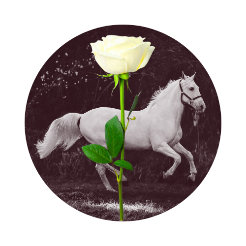 Death Rides the White Horse