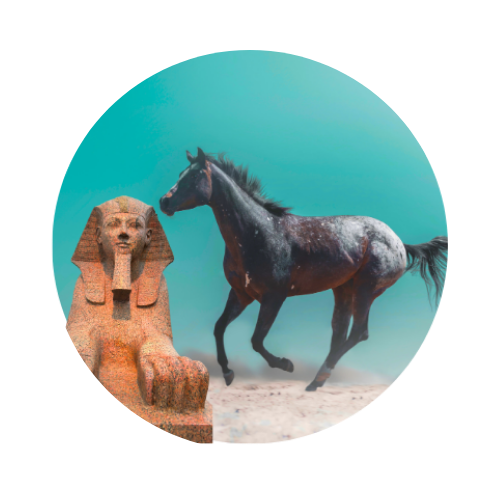 The Chariot Charges Forward