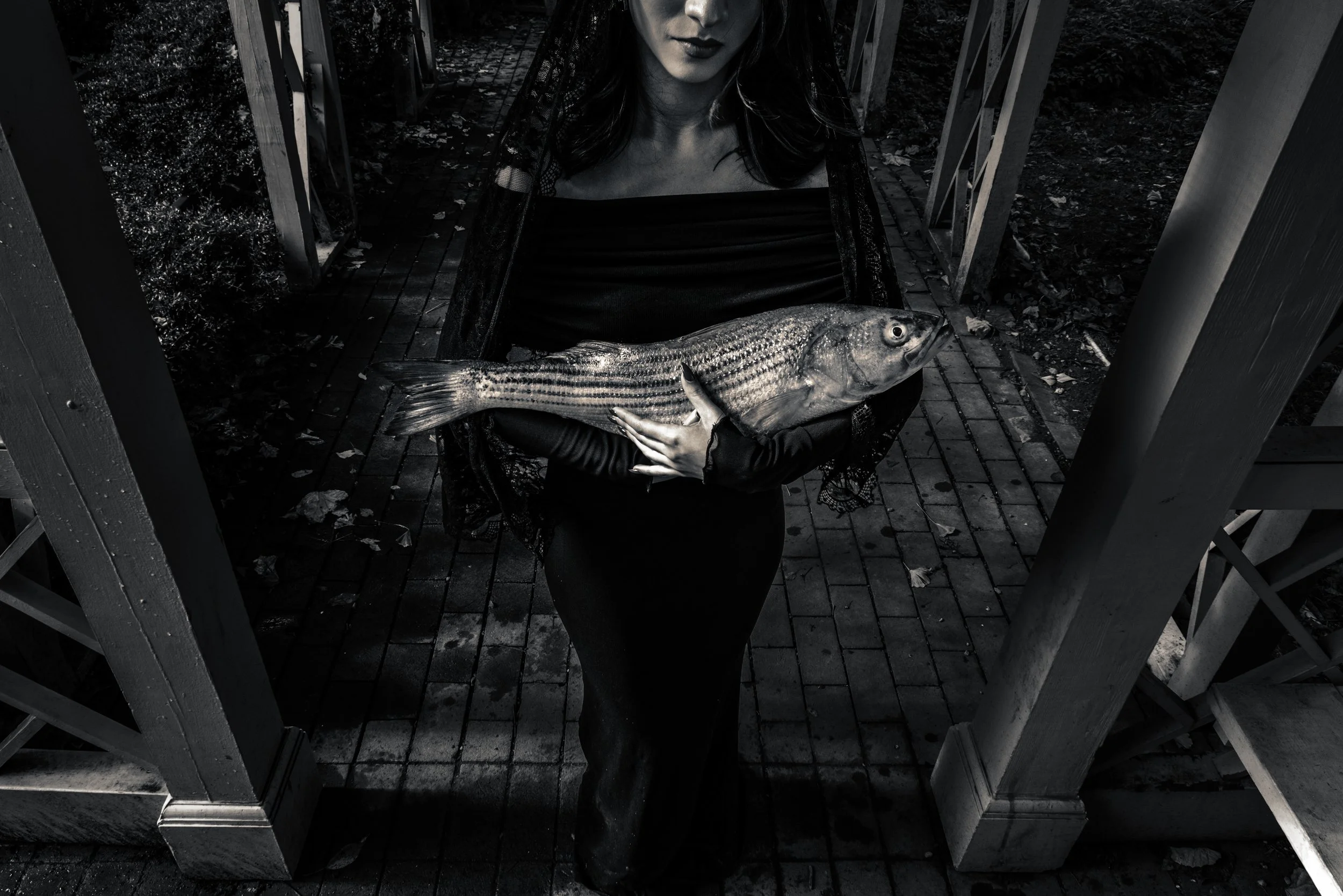 leefish1finalcopy.jpg