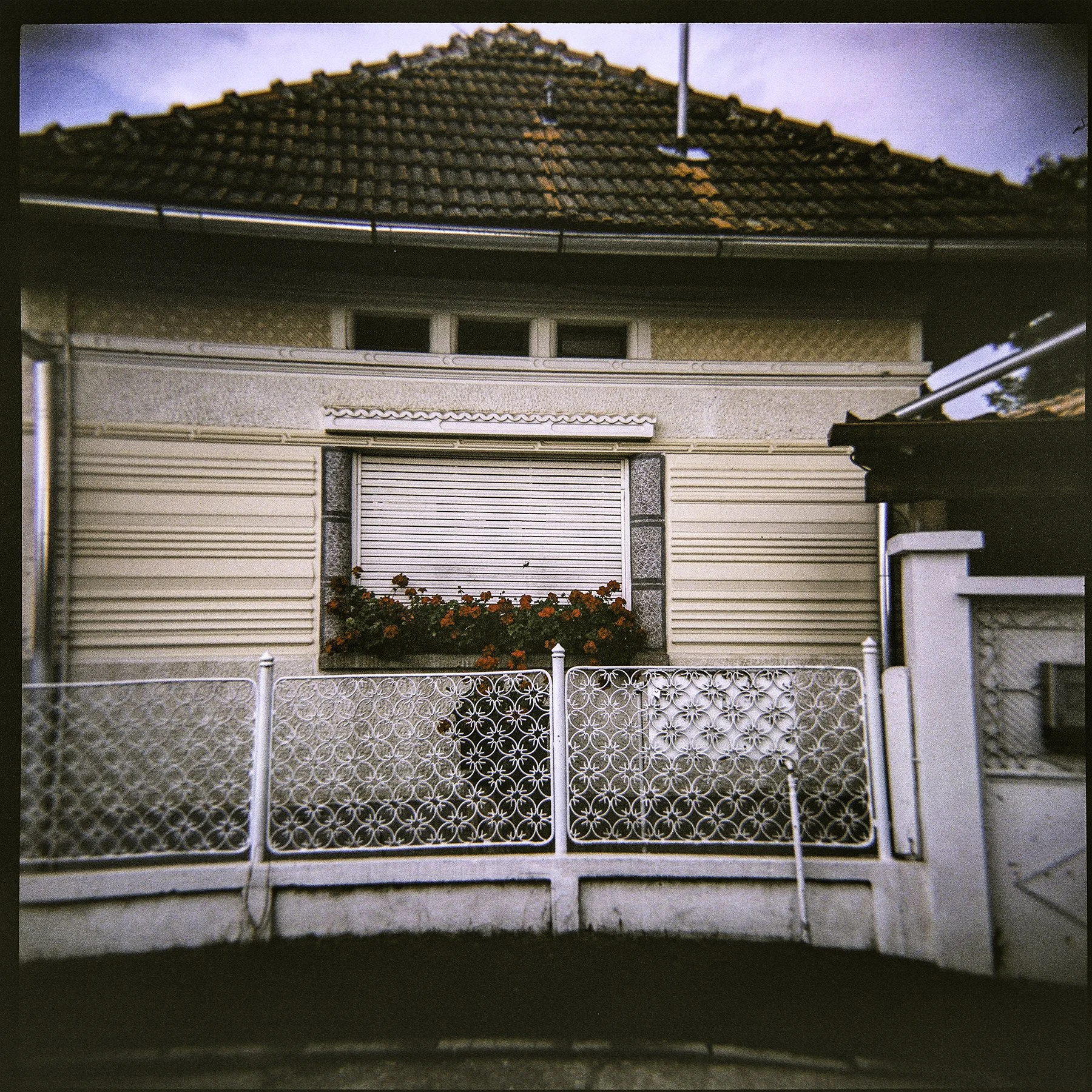 HolgaRomania-18 copy.jpg