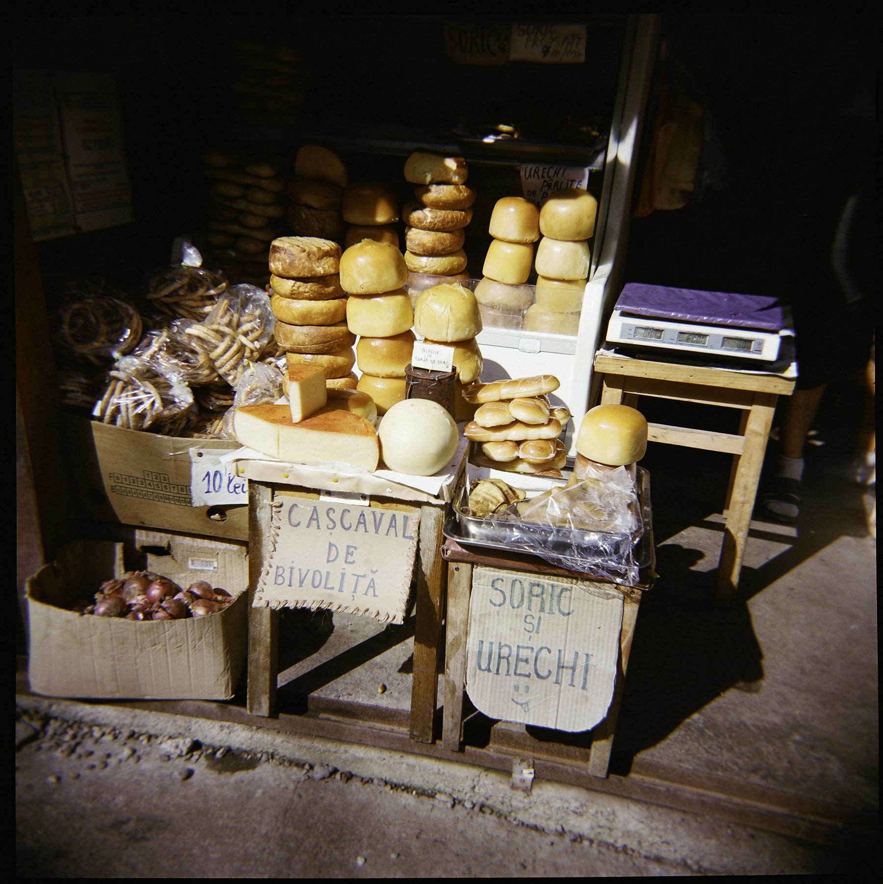 HolgaRomania-13 copy.jpg