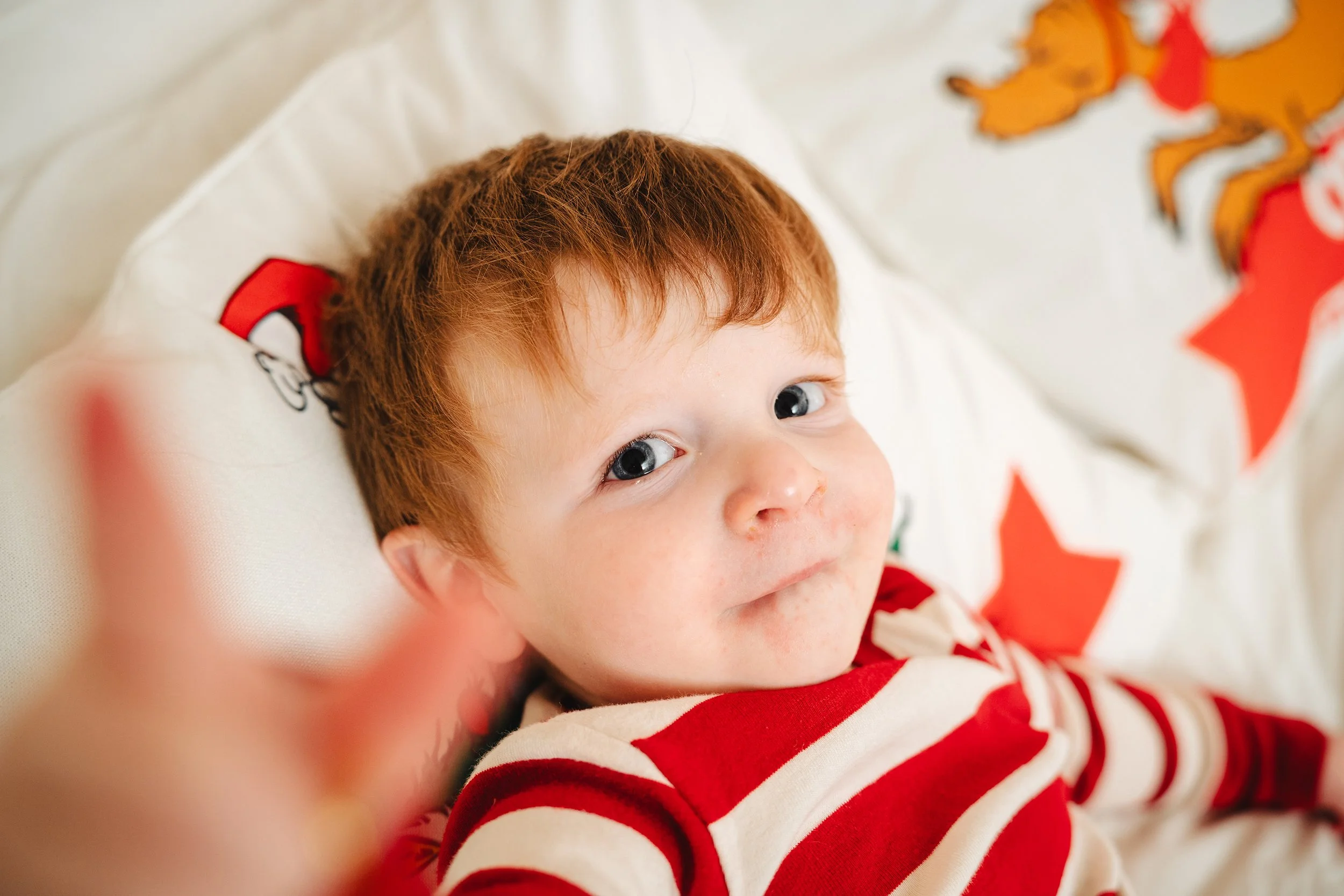 TC (3632 of 145).jpg