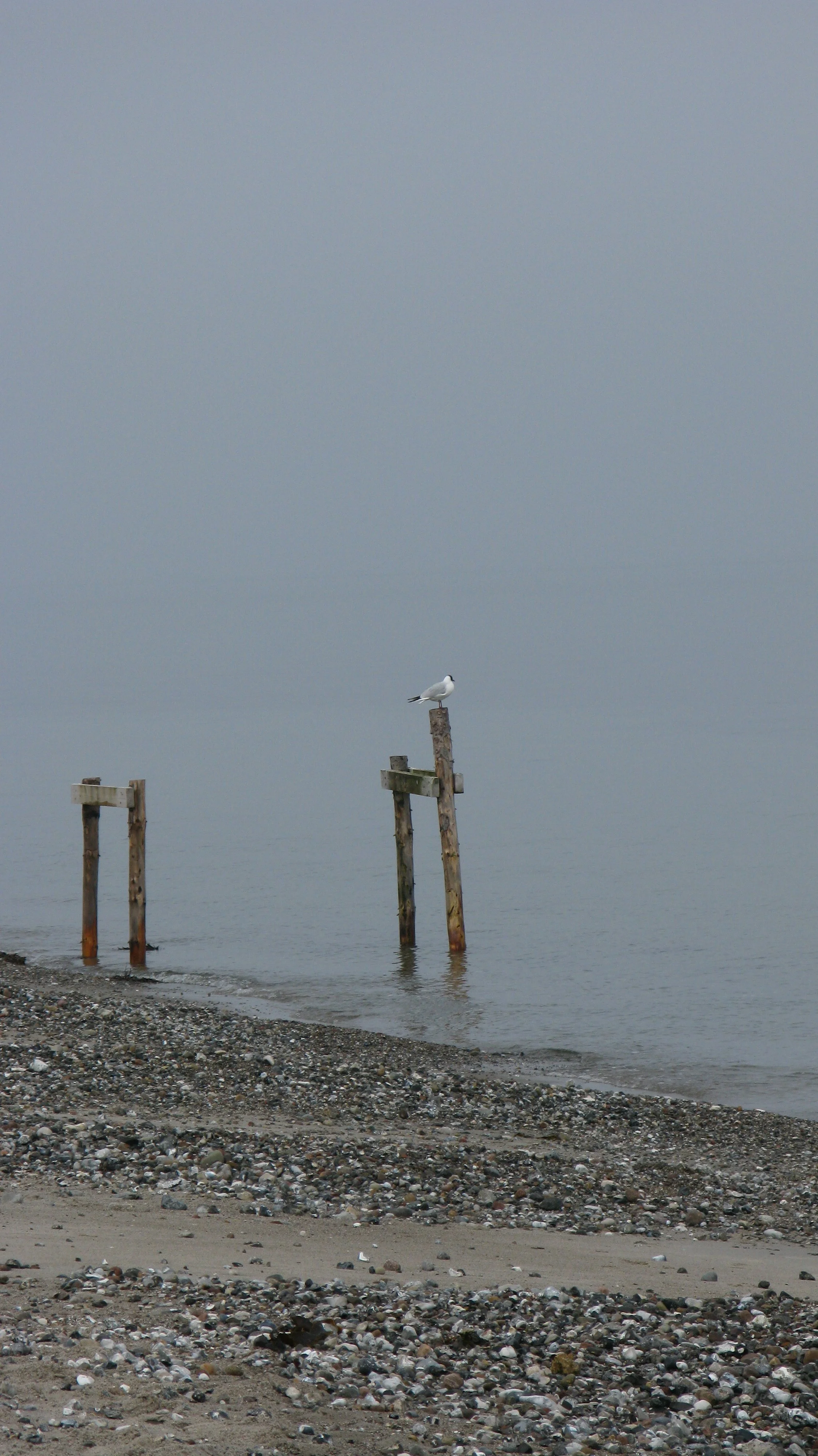 Coastal Intervals 2012