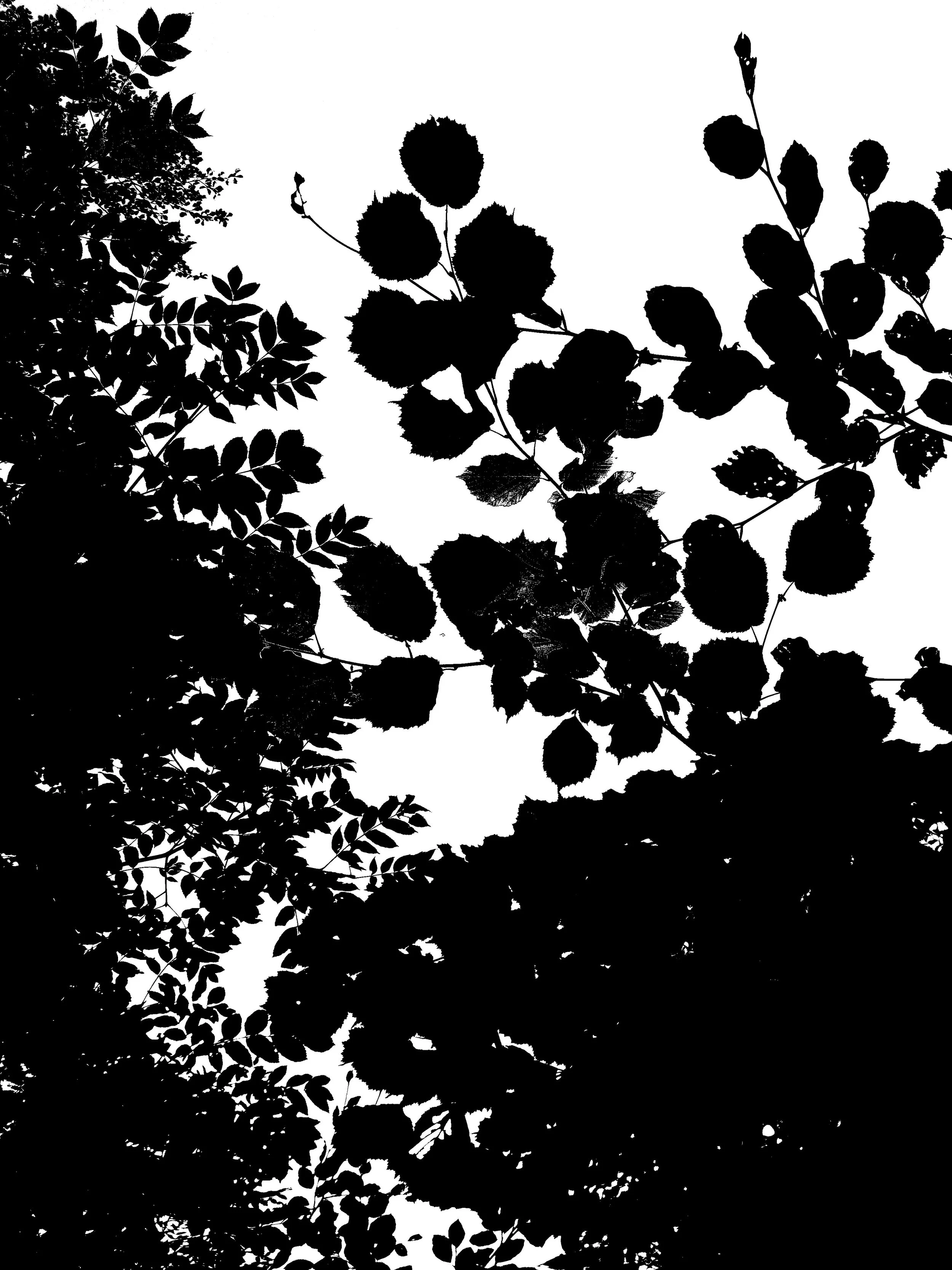 The Weight of Light 2009-2012