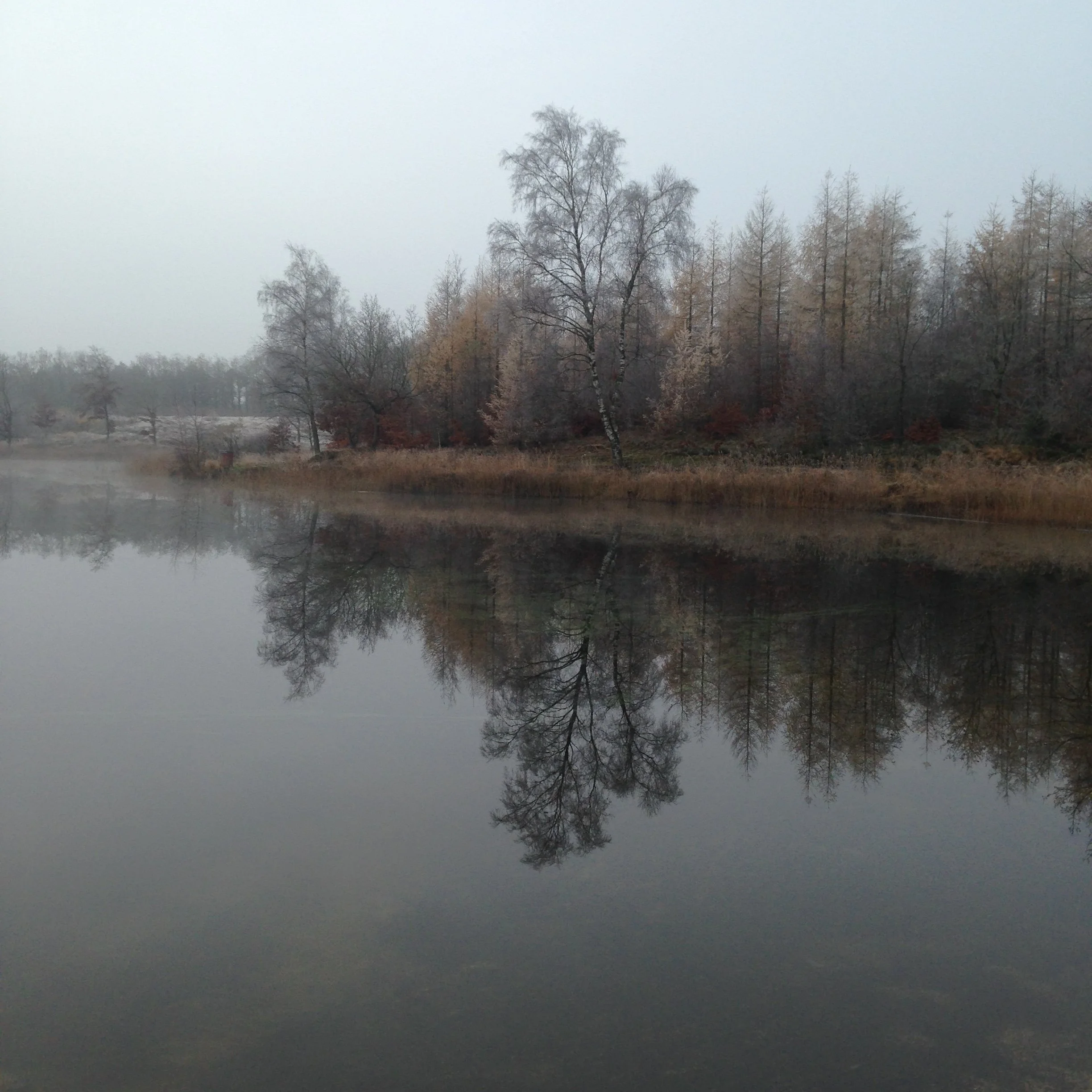 maja-sofie-kristiansen-frost-breath-07.jpg