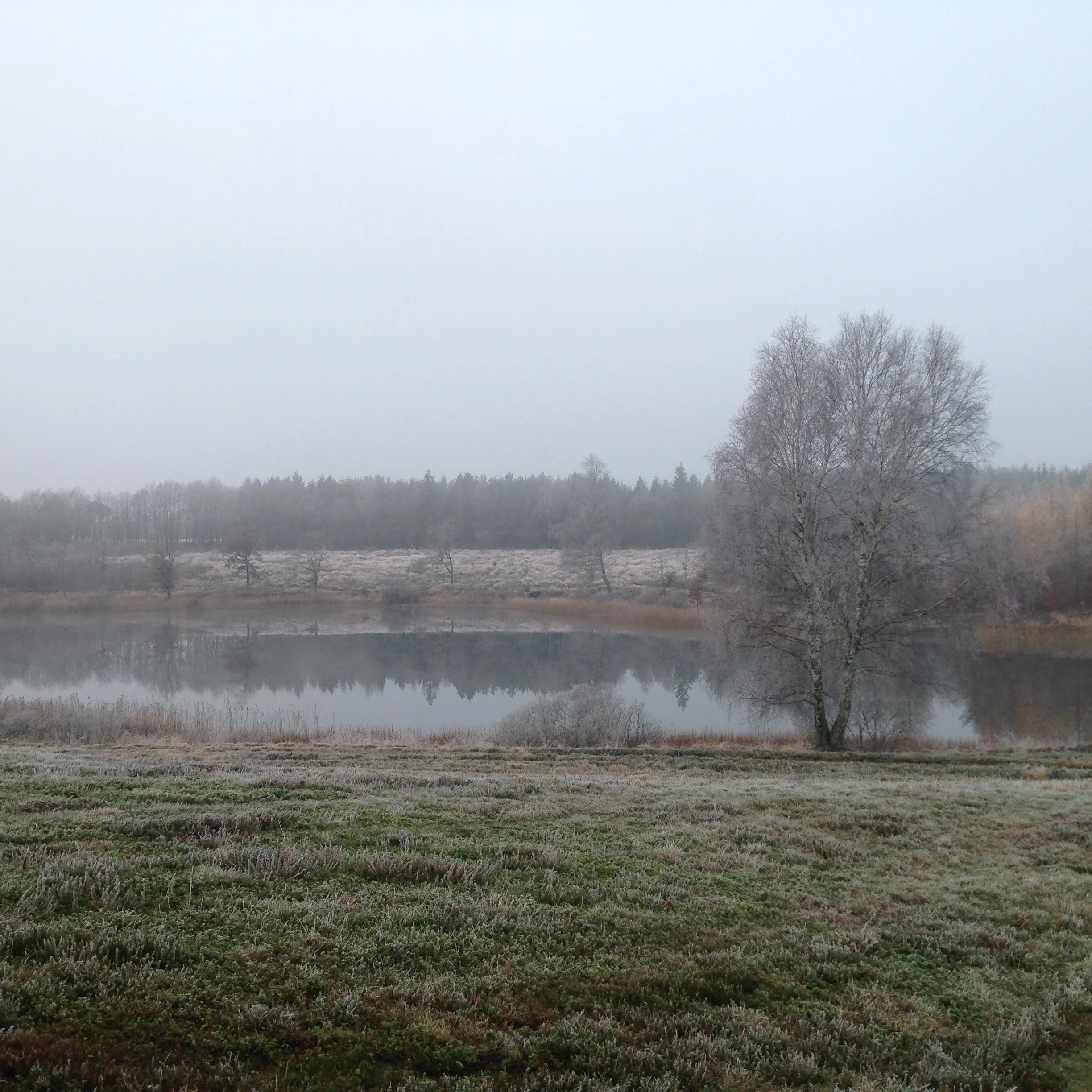 maja-sofie-kristiansen-frost-breath-01.jpg
