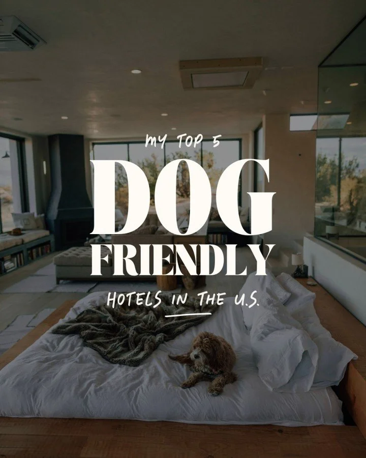 Do you love traveling with your furry friends as much as I do? Or maybe are you looking for luxury pet-friendly hotels in the U.S. that don&rsquo;t sacrifice design, service, or experience?

These are the places I recommend to clients who want to b