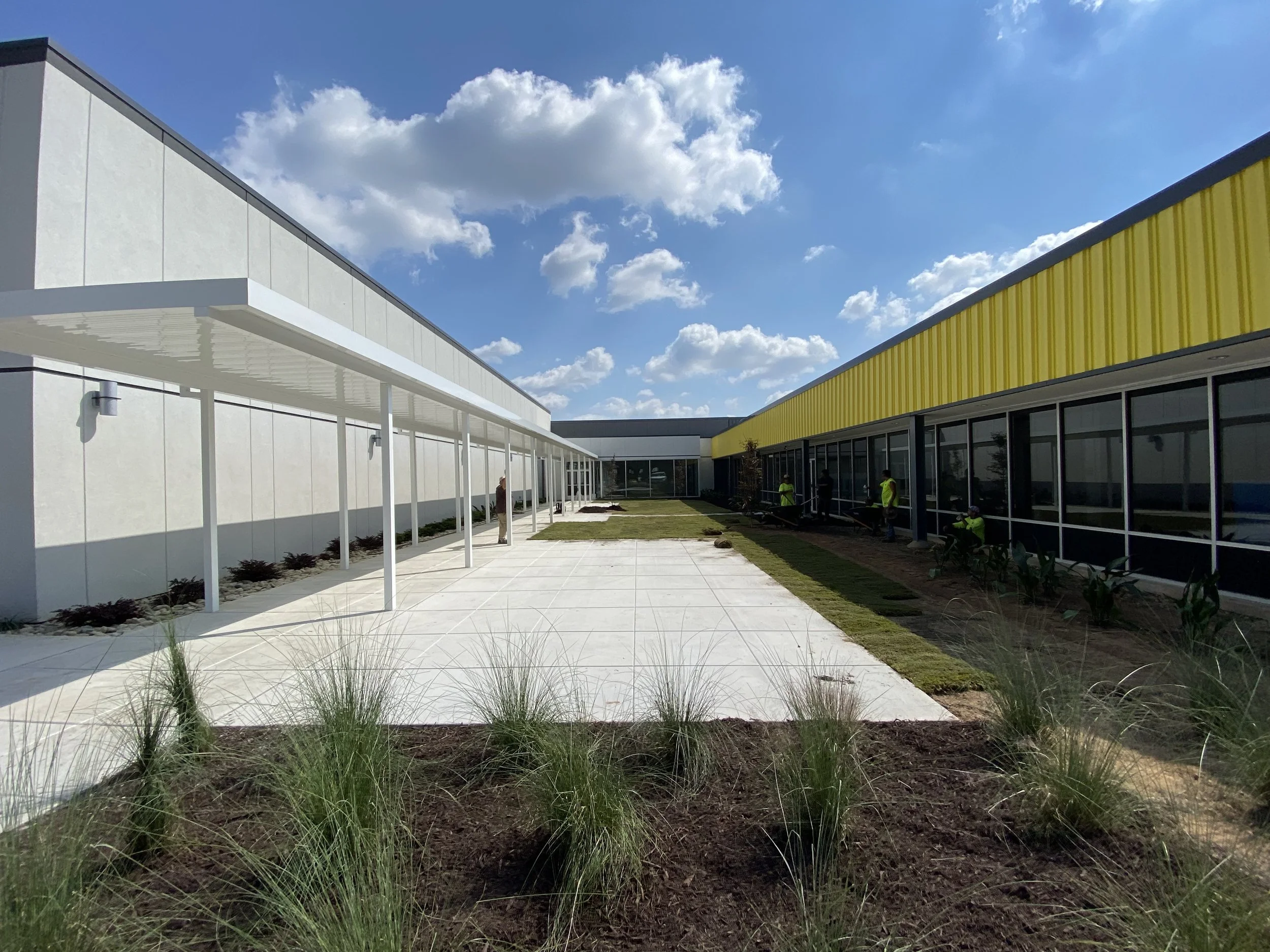 Bush (completion) 1.jpeg