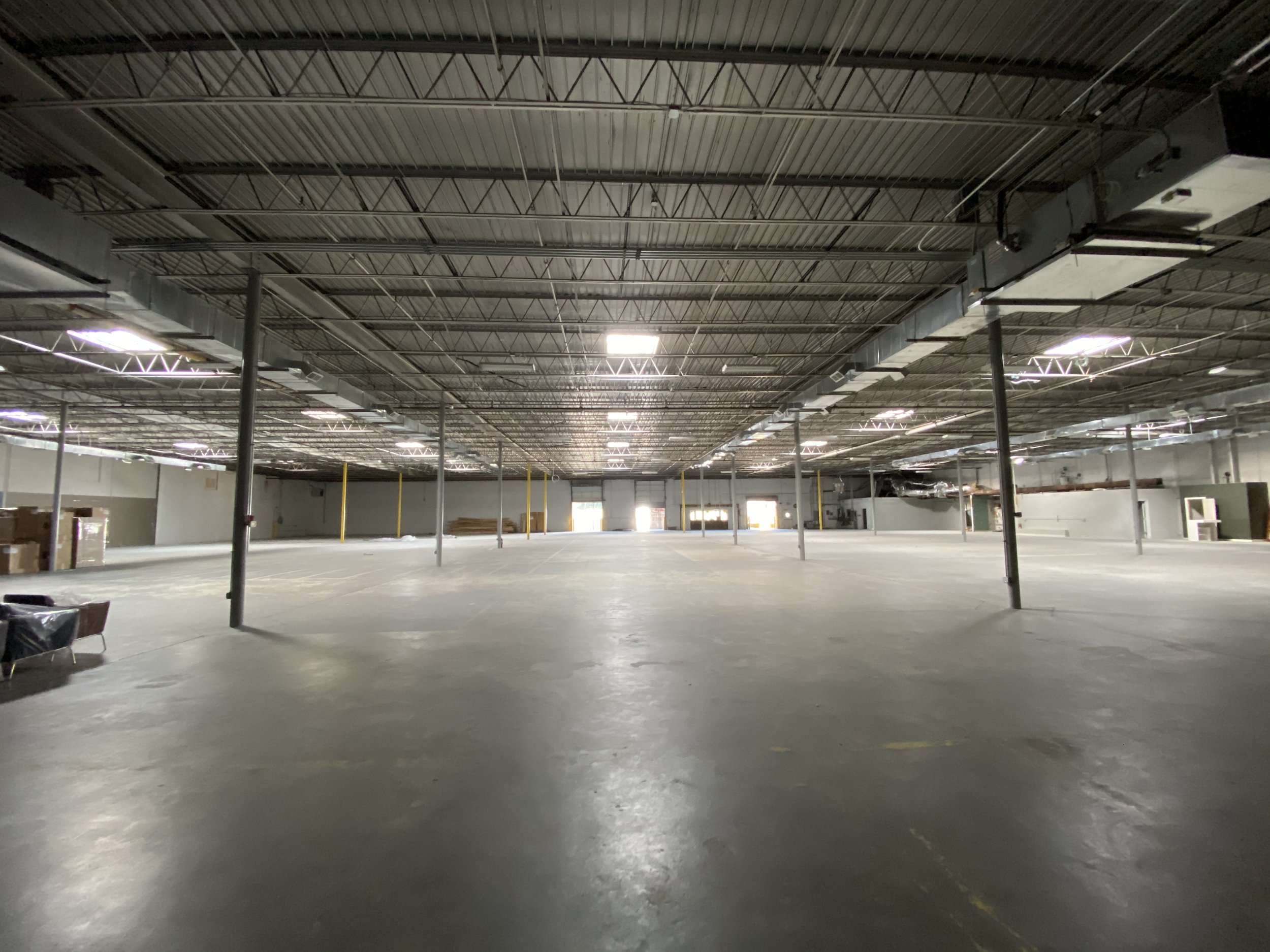 Beryl (before) 2.jpeg