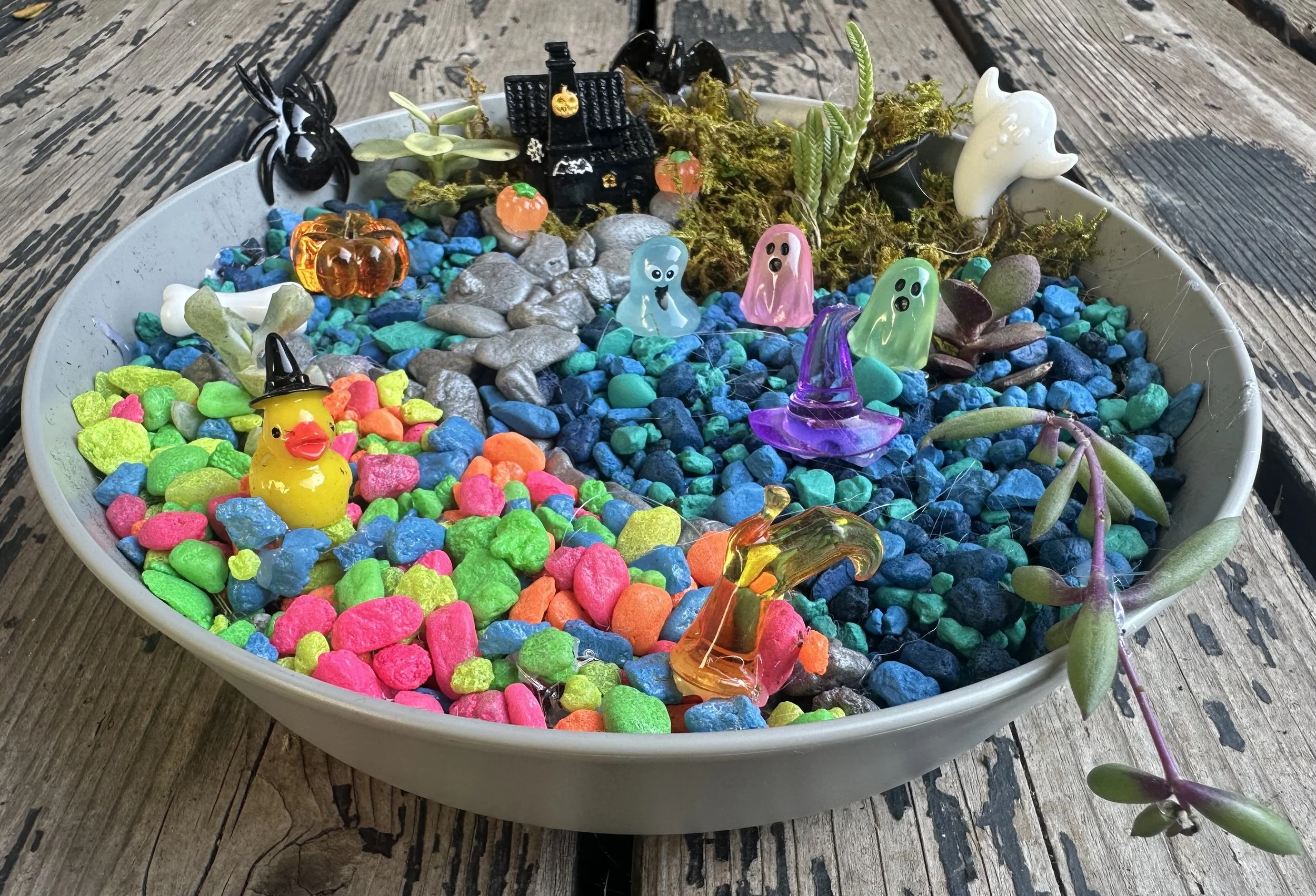 Whimsical Halloween Happy Ghosty Garden!
2 Hour workshop
$40 includes all tax and materials
For the younger kids, this Halloween Fairy Garden offers a choice of Happy Figurines. ALL AGES and Skill Level. As simple or detailed as you wish