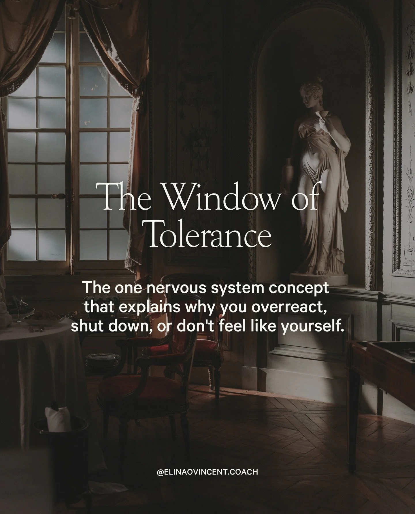 Your nervous system shapes how you think, feel, connect, and respond.

When you&rsquo;re outside your Window of Tolerance, it&rsquo;s easy to become anxious, reactive, overwhelmed, or shut down. 

The good news? Your capacity for regulation can grow.