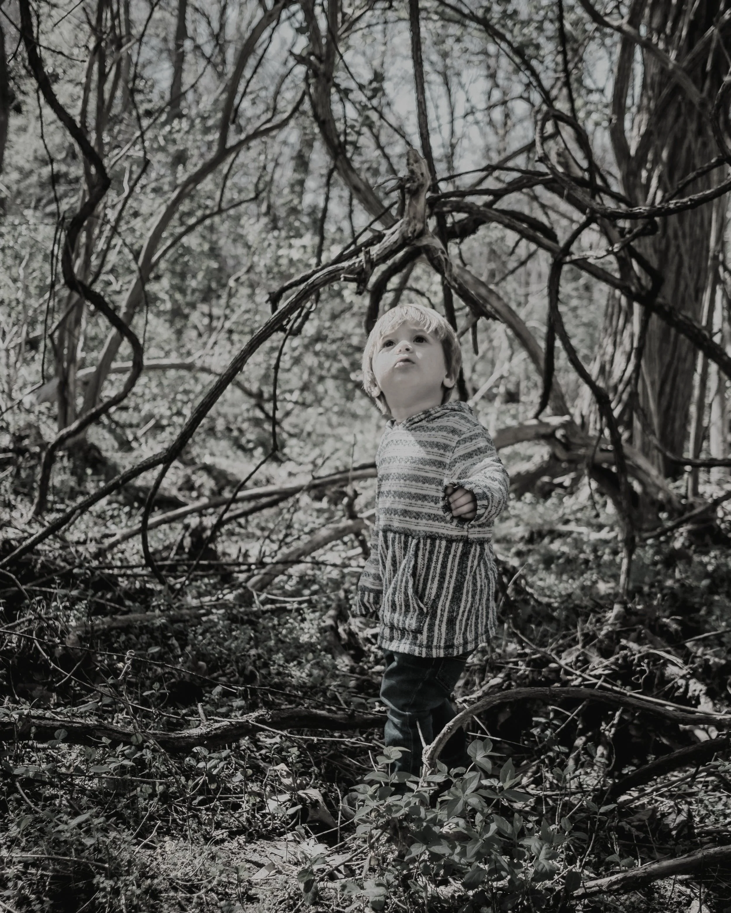 A young child standing in a dense forest surrounded by tangled tree branches, with a contemplative expression, captured in black and white.