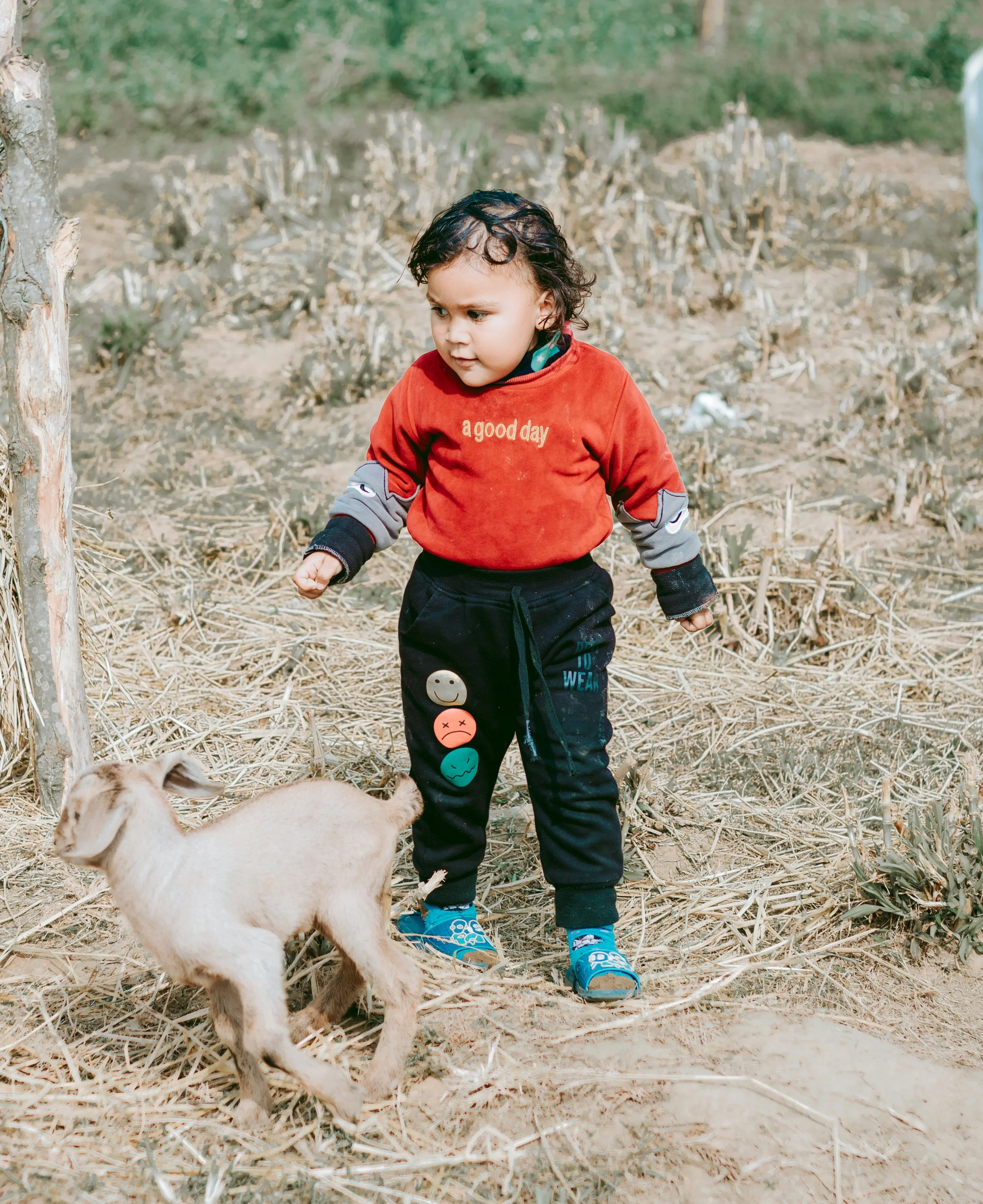 Young child with curly hair wearing a red and gray sweatshirt and black pants with smiley and unhappy face patches, standing outdoors with a light-colored goat on a dry, grassy terrain.