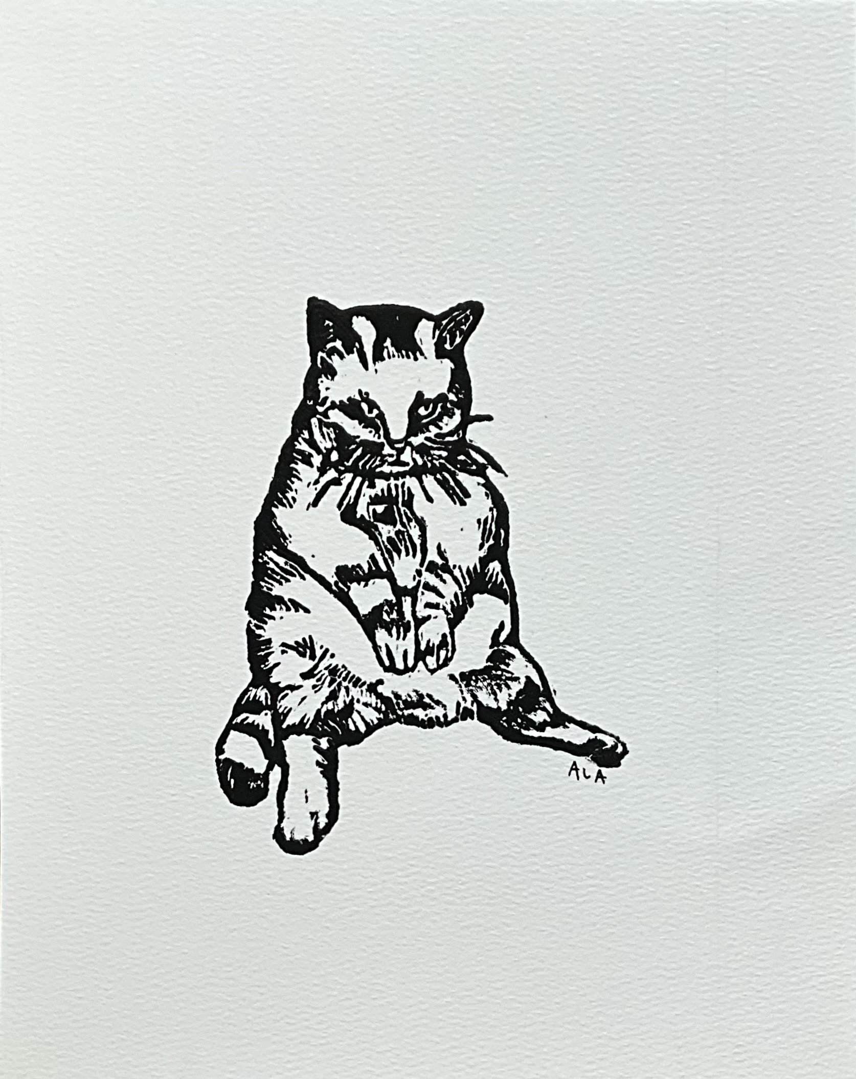 Cat print