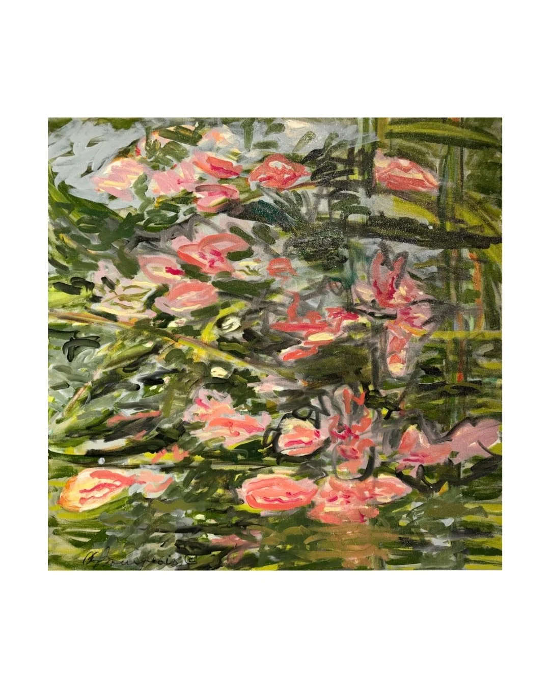 Swamp Lotus Site.jpg