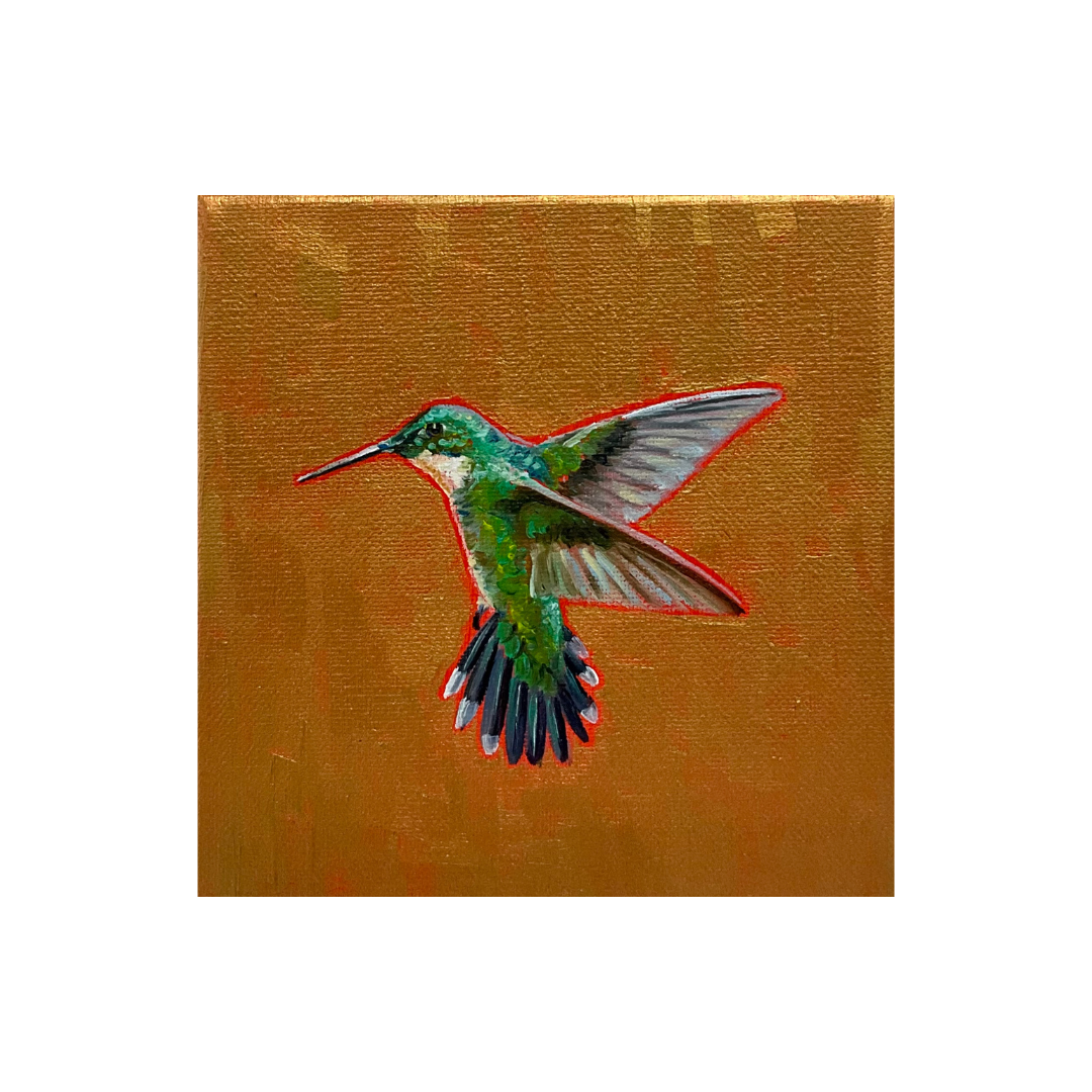 Humming Bird 5.png