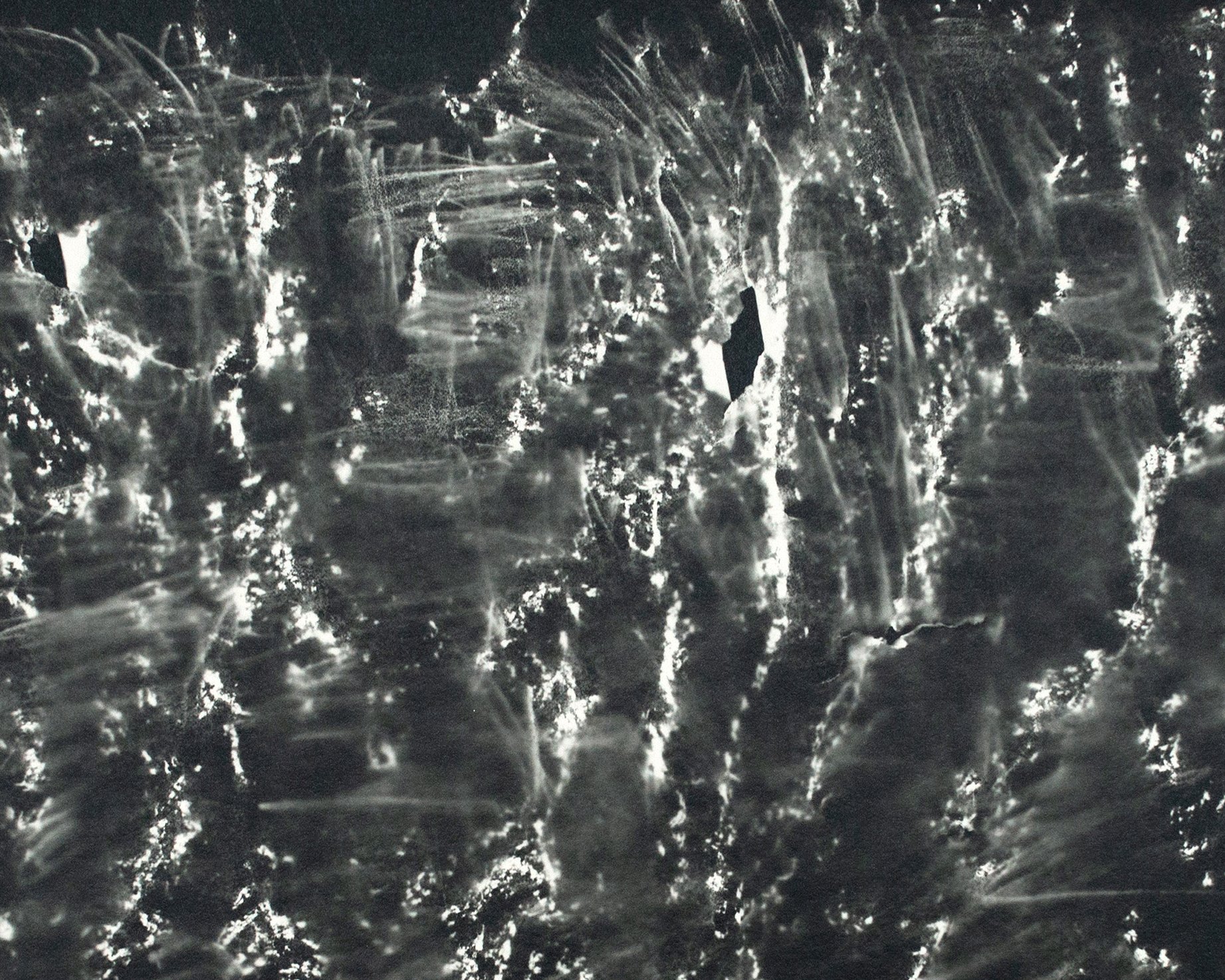 Paper, Rubbing, Tear (The Ghost Tree Greets me) [detail]