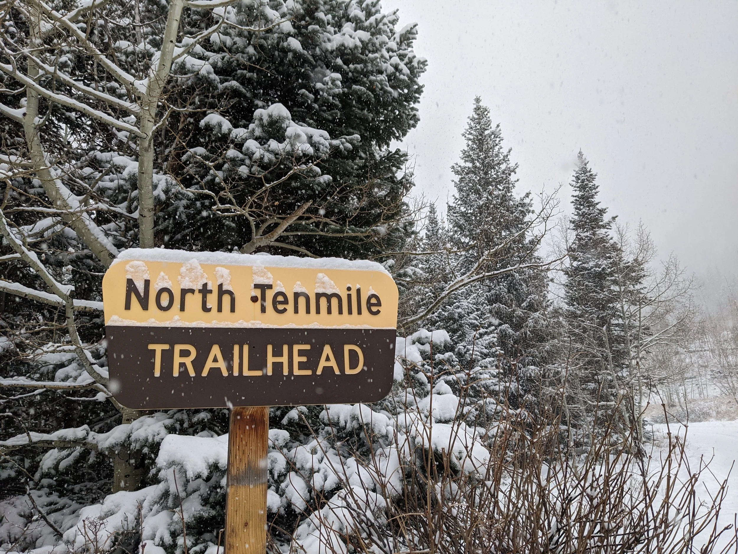 Many trails from easy to difficult just a quick walk from the condo