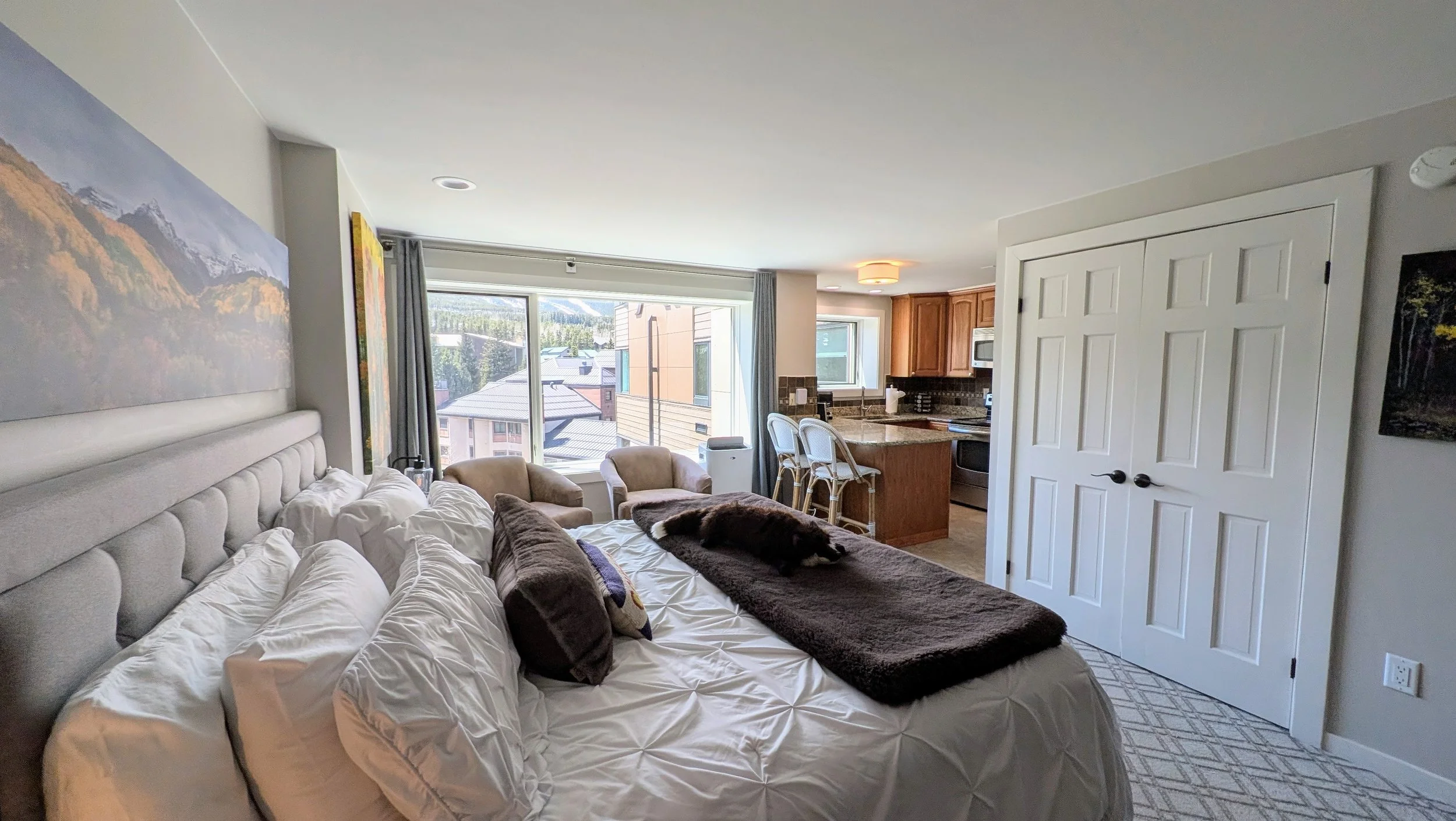 Studio with king bed, pull-out couch, fully stocked kitchen, two sitting areas and large, full bath