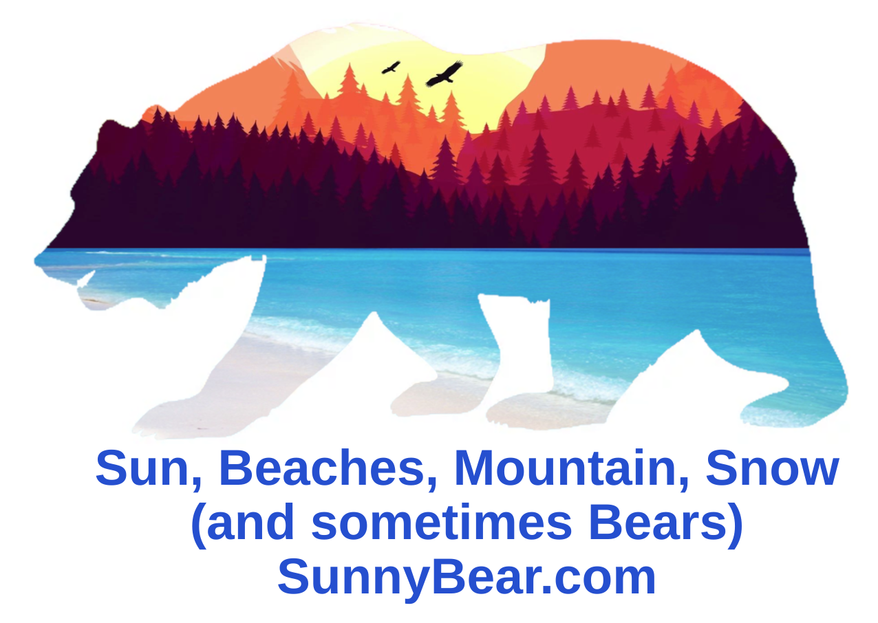 SunnyBear Vacation in Beautiful Places