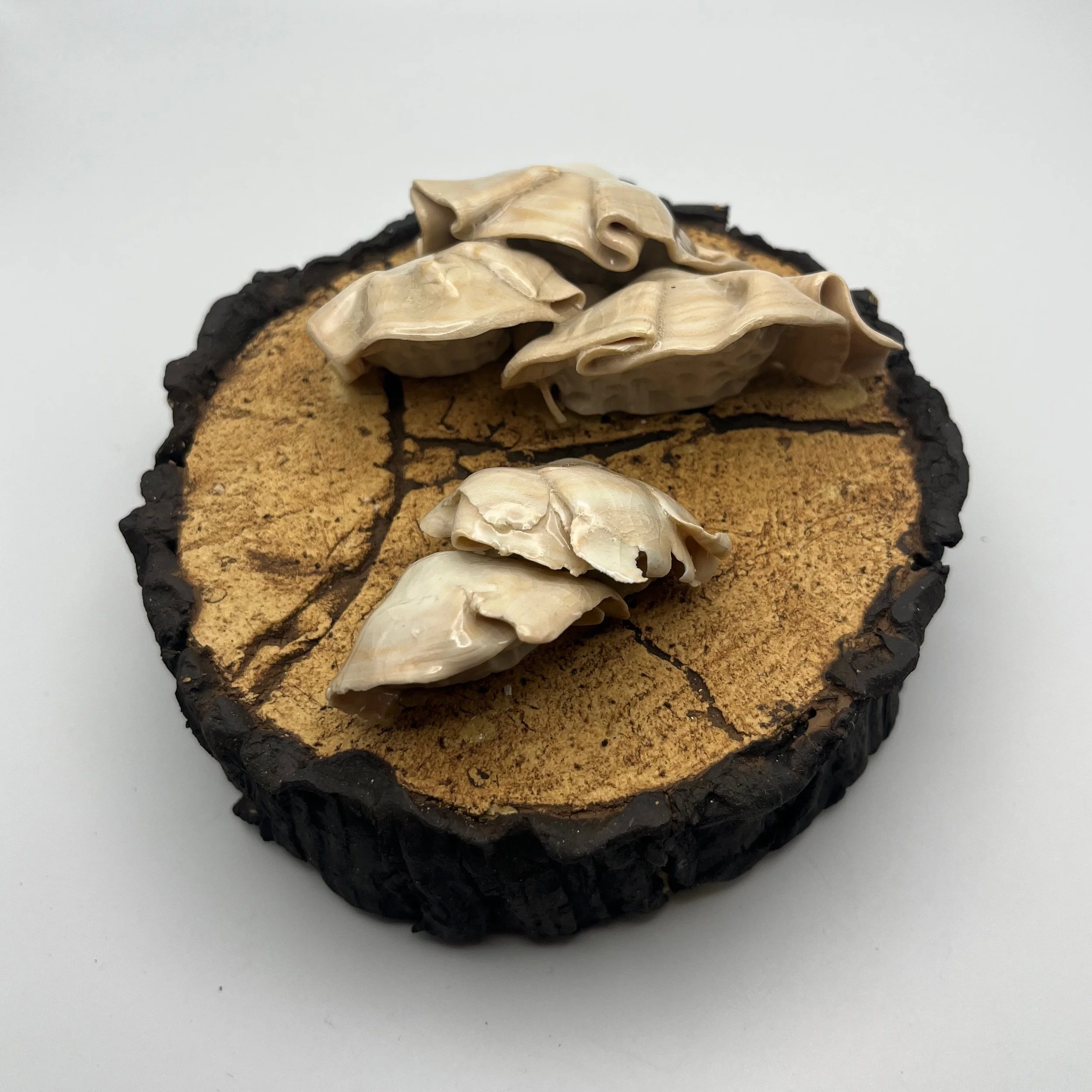 In the Dead of Winter… - 4 of 33.jpeg