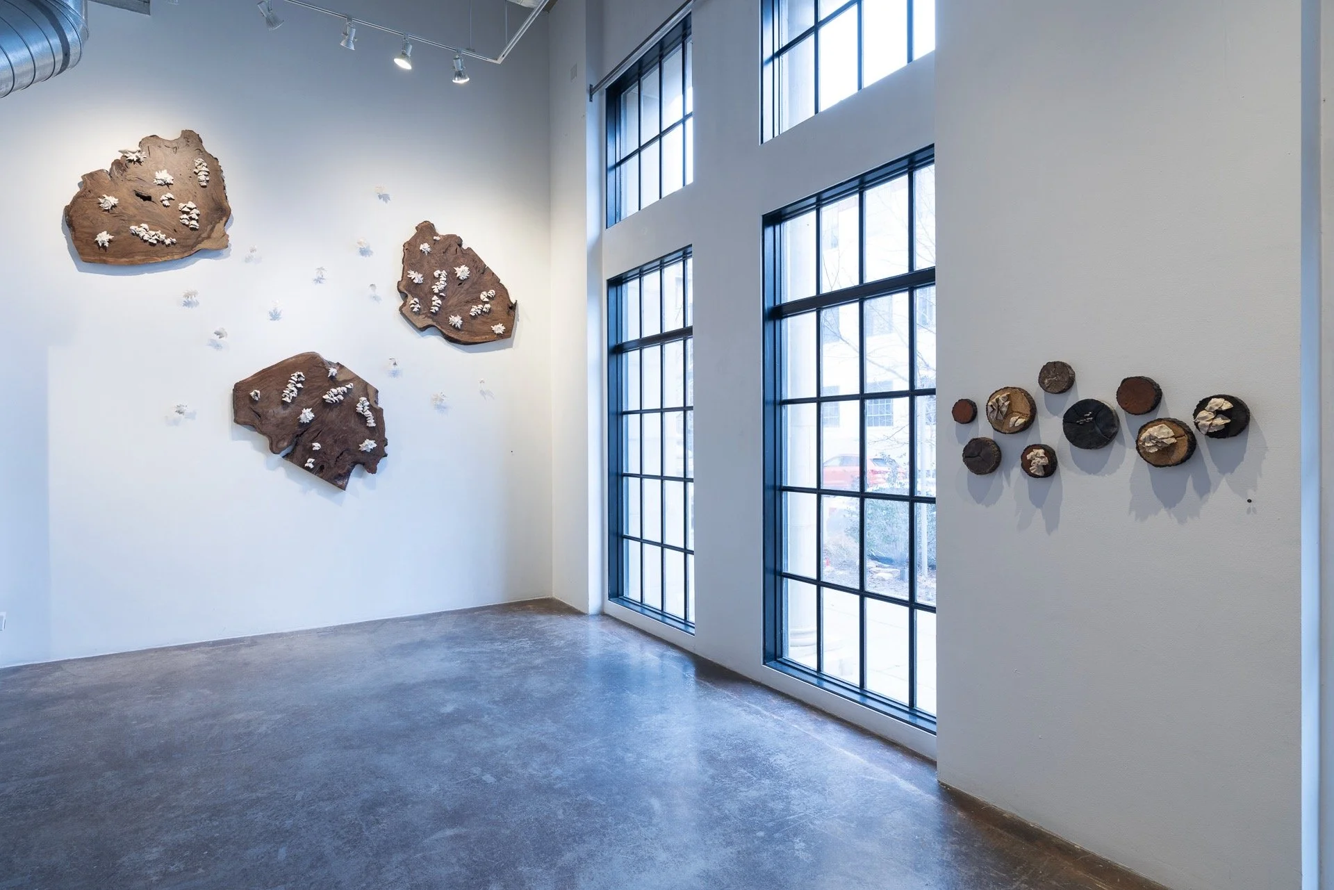 In the Dead of Winter… - 1 of 12.jpeg