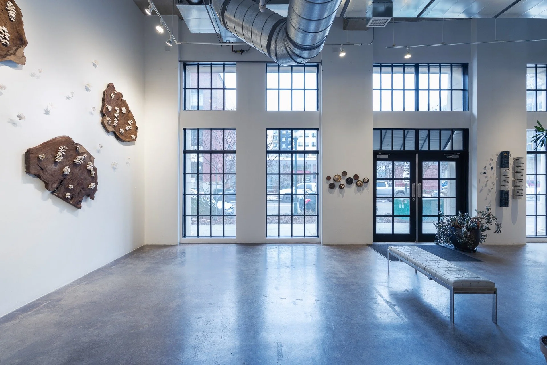 In the Dead of Winter… - 6 of 12.jpeg