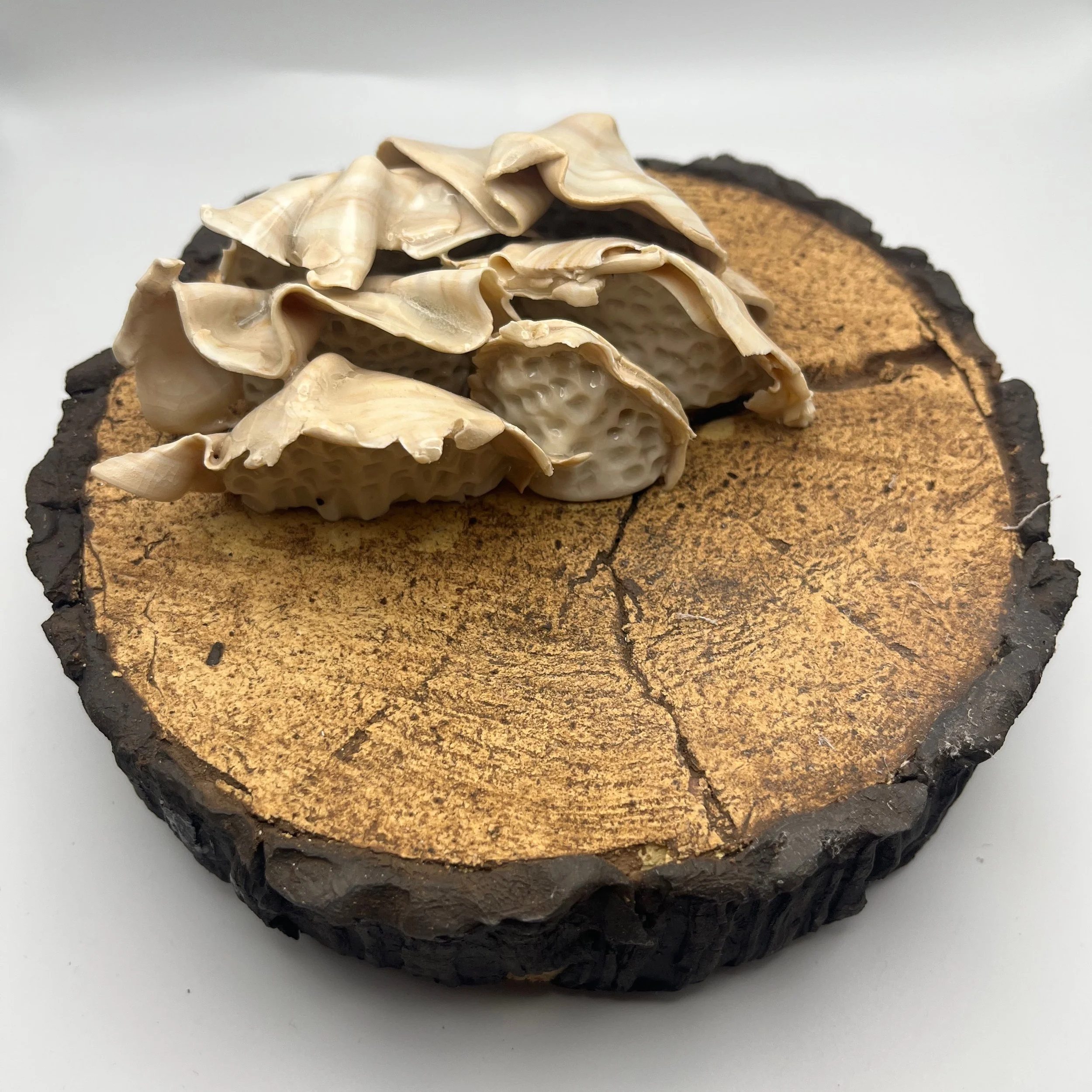 In the Dead of Winter… - 7 of 33.jpeg