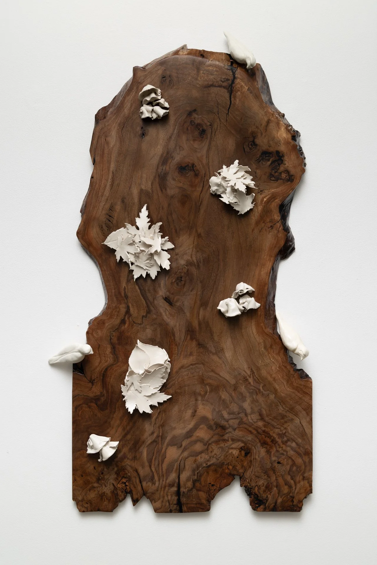 79_November 22, 2025.JPG