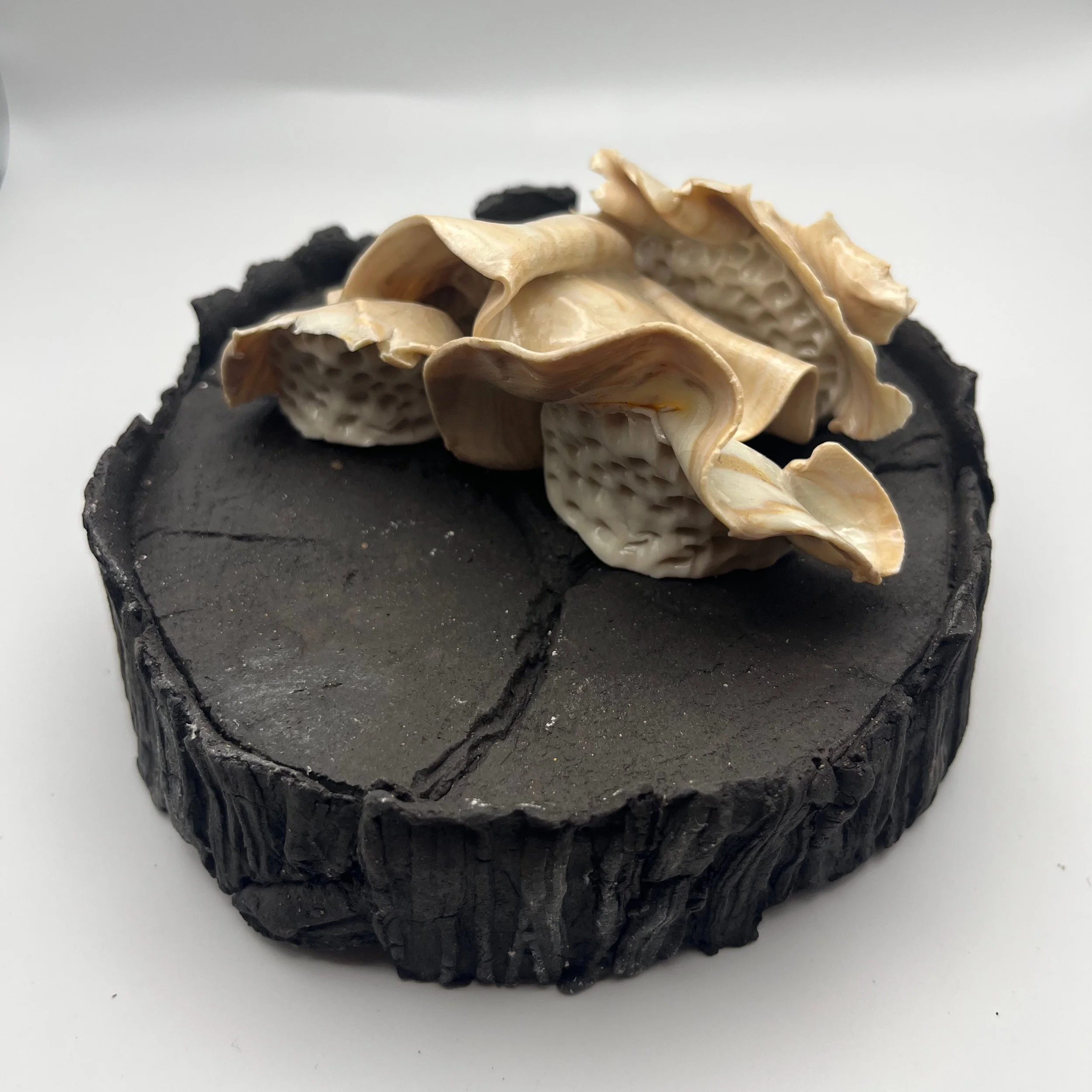 In the Dead of Winter… - 11 of 33.jpeg