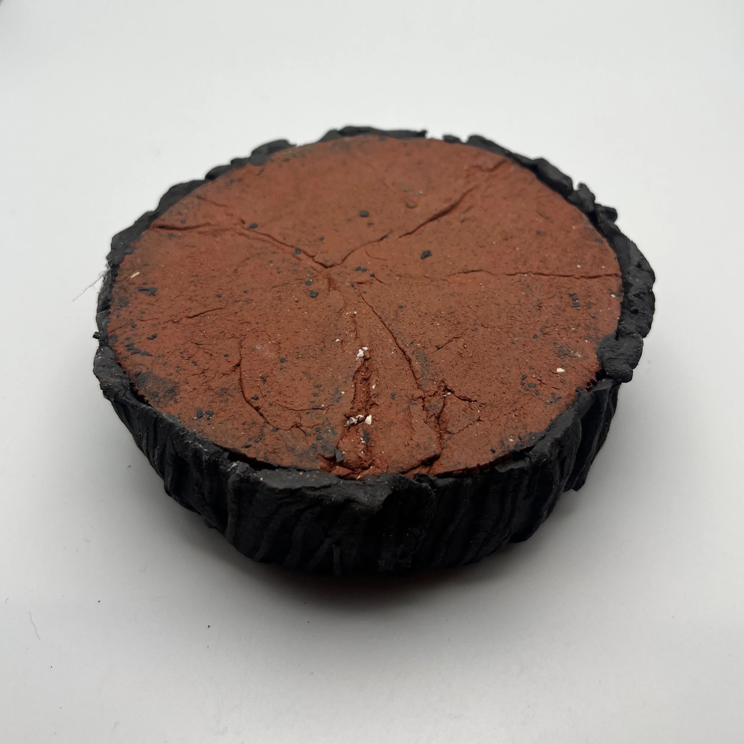 In the Dead of Winter… - 26 of 33.jpeg