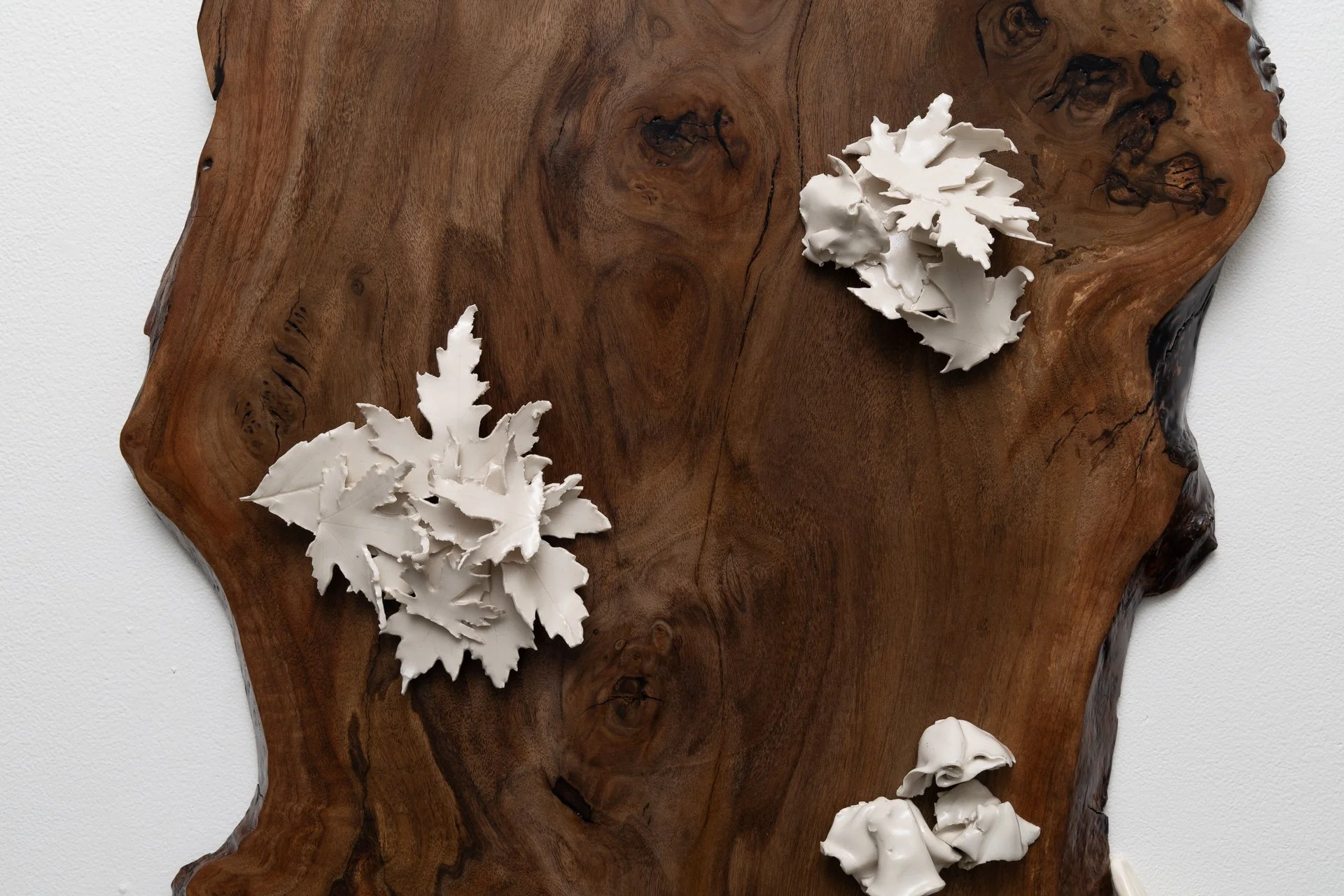 81_November 22, 2025.JPG