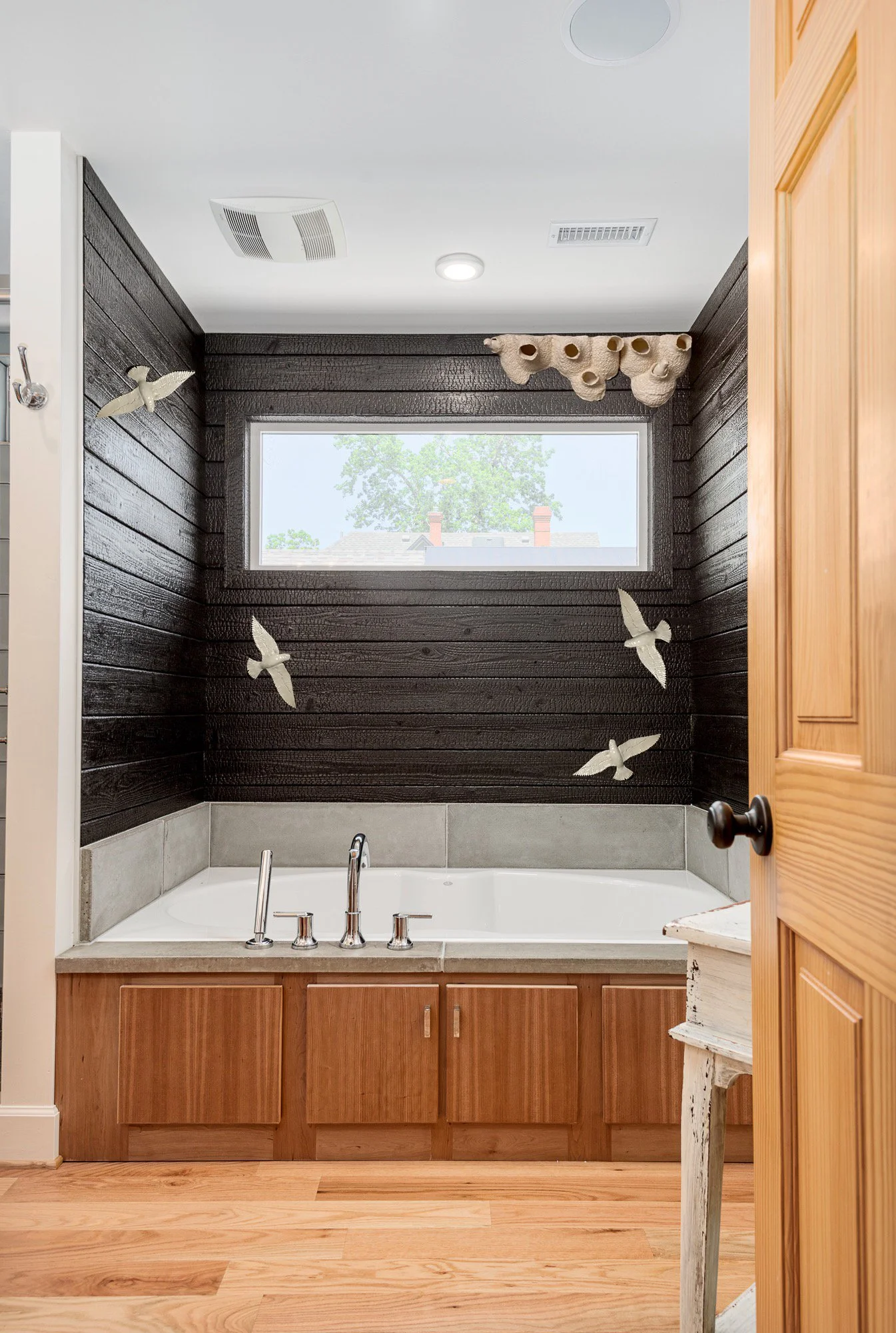 bathswallowsnestandswallows.jpg