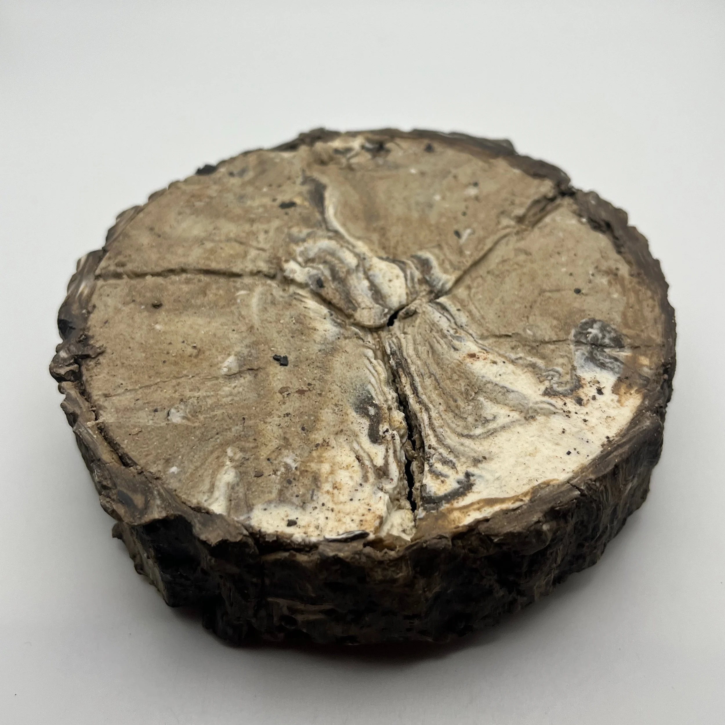 In the Dead of Winter… - 28 of 33.jpeg