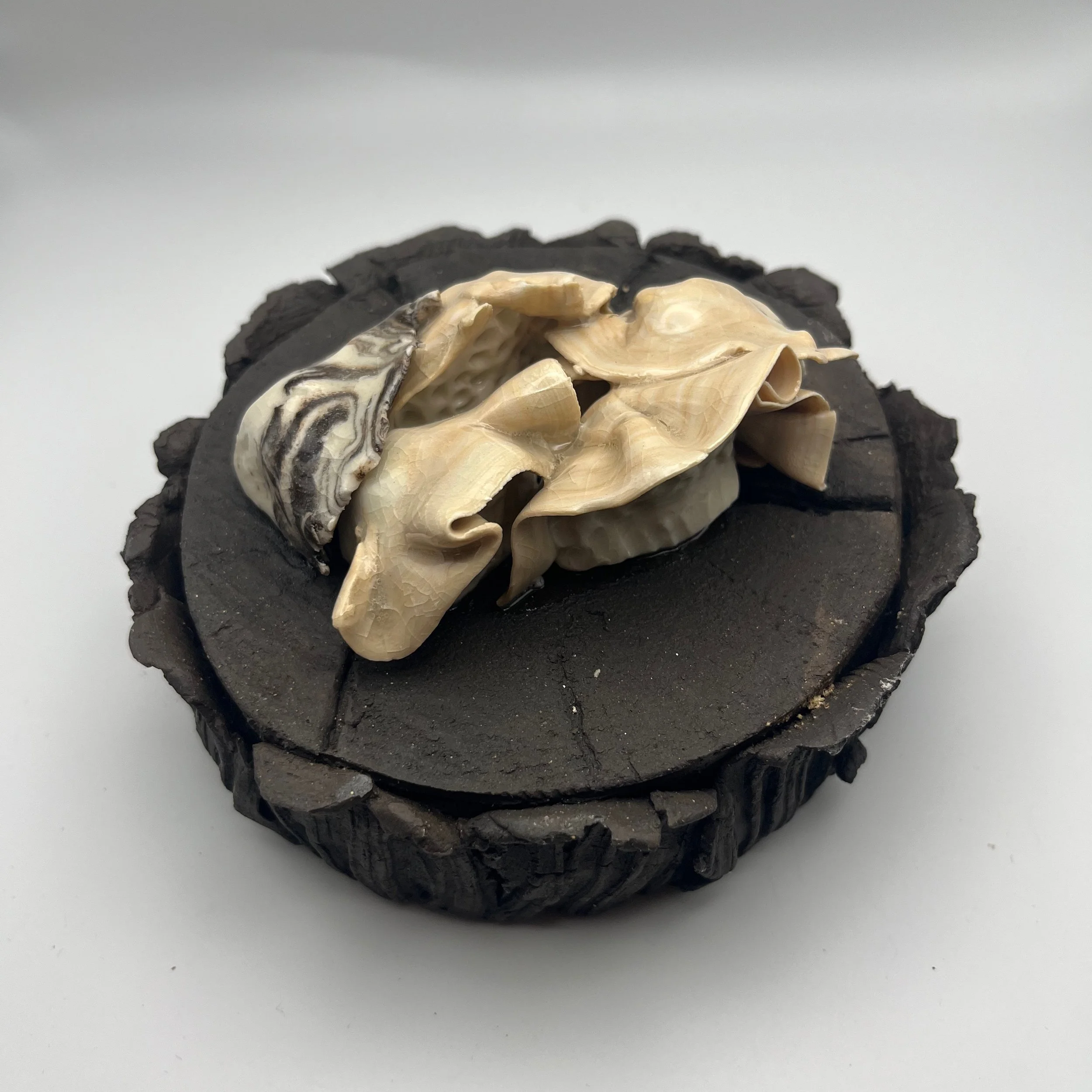 In the Dead of Winter… - 13 of 33.jpeg