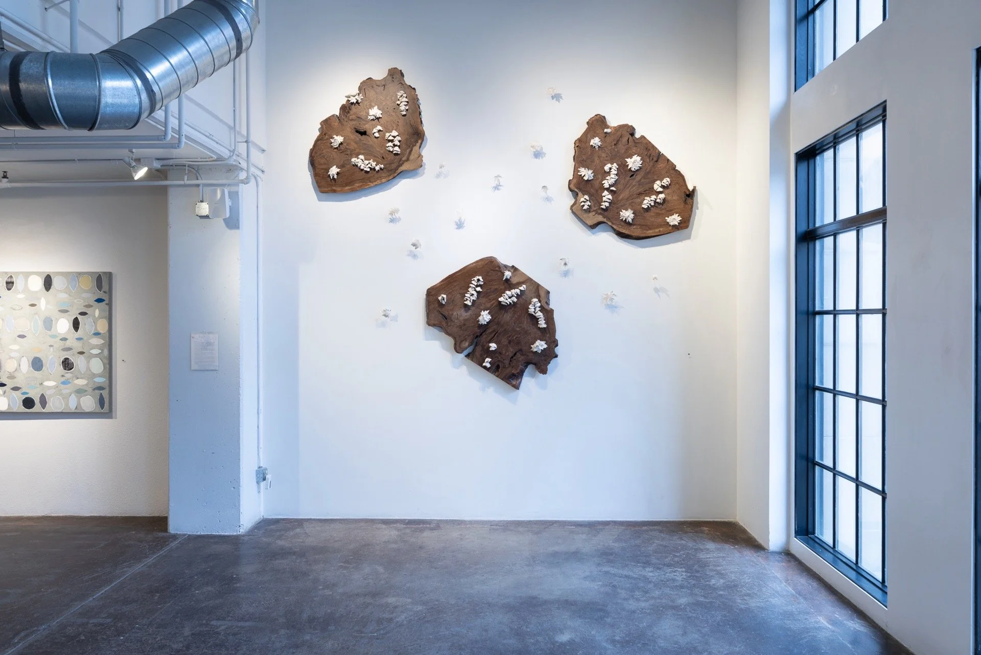 In the Dead of Winter… - 3 of 12.jpeg