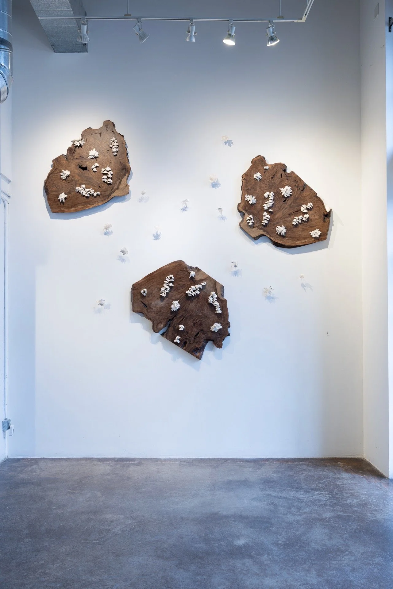 In the Dead of Winter… - 2 of 12.jpeg