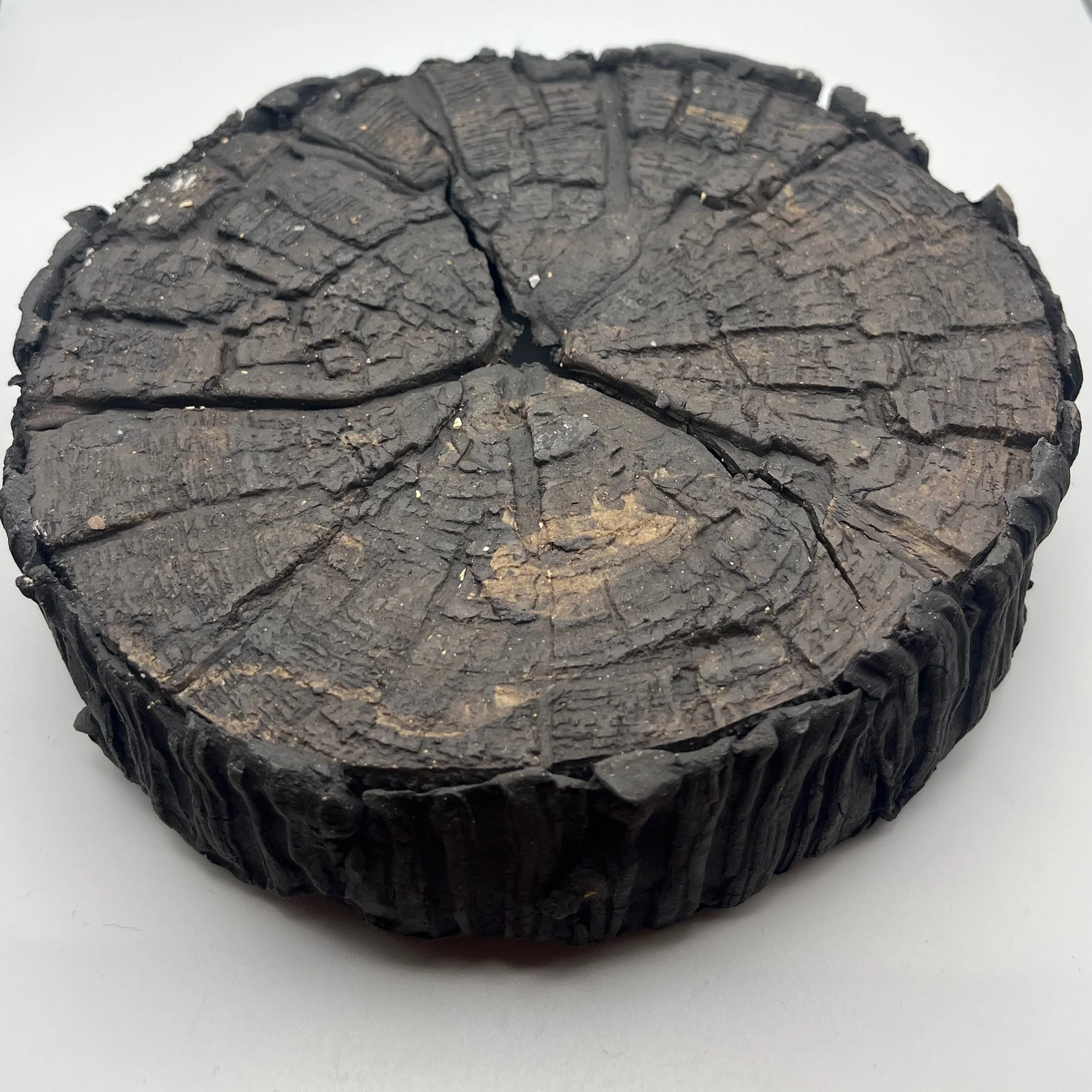 In the Dead of Winter… - 18 of 33.jpeg